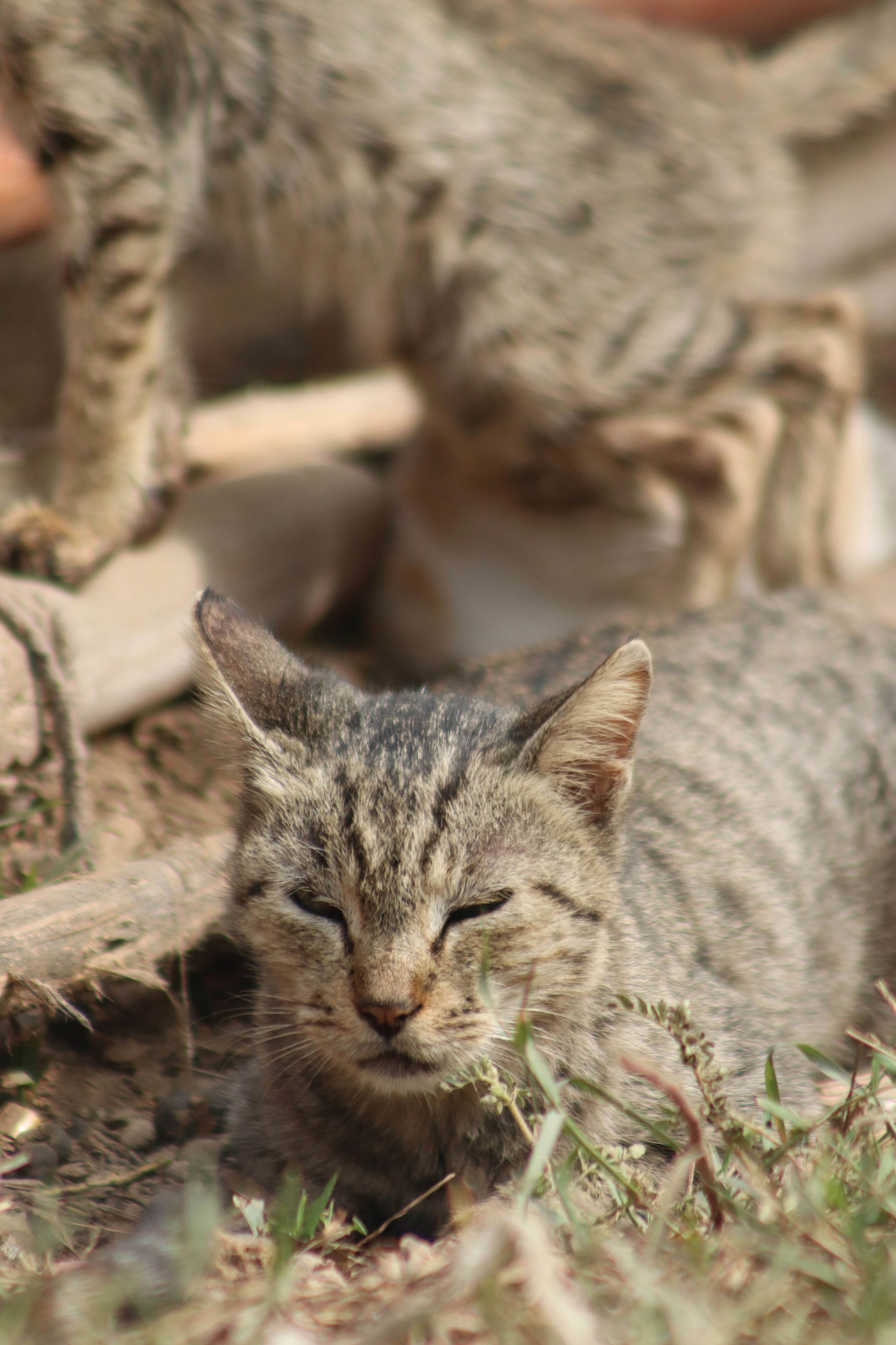 Photo by drphotographer152