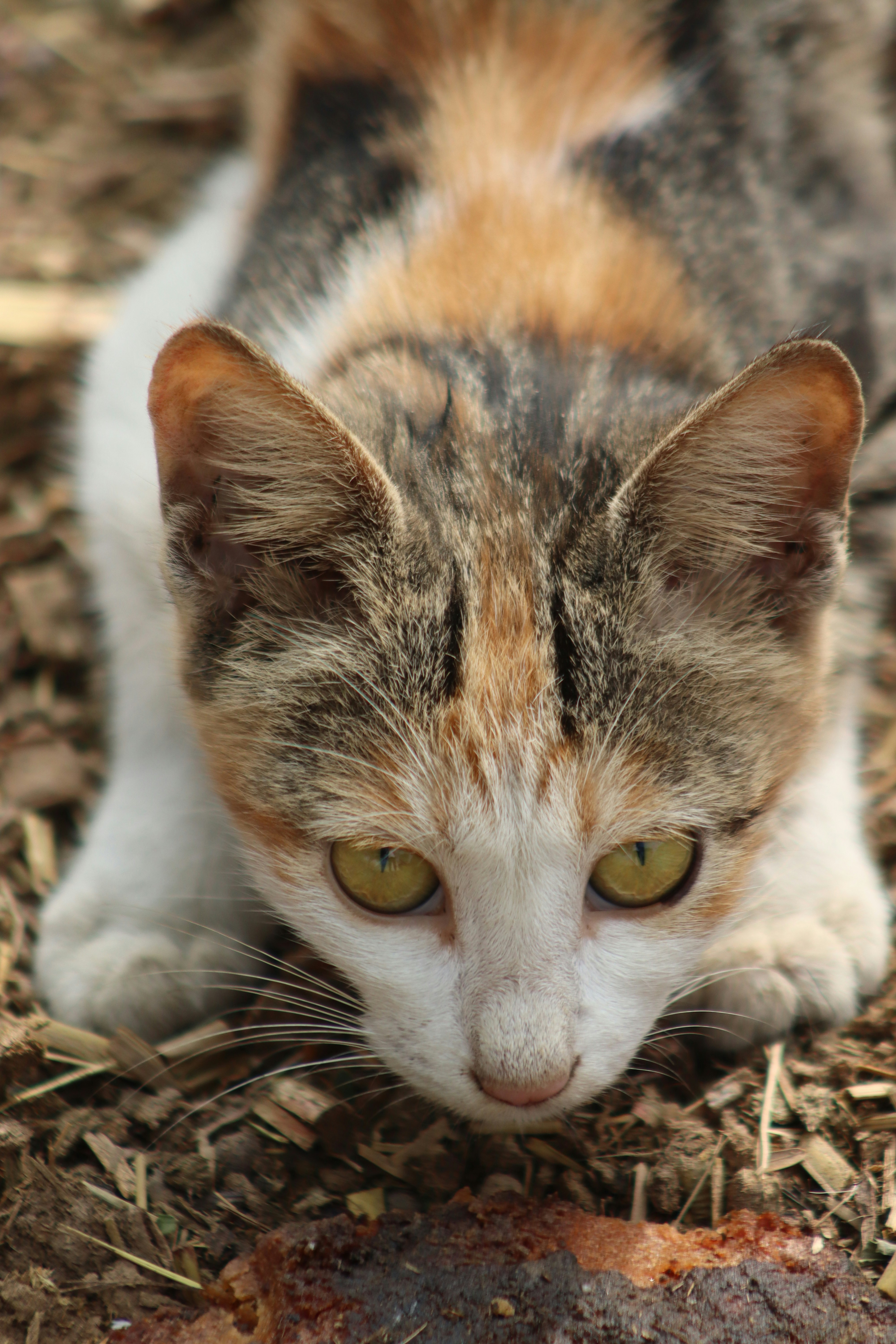 Photo by drphotographer152