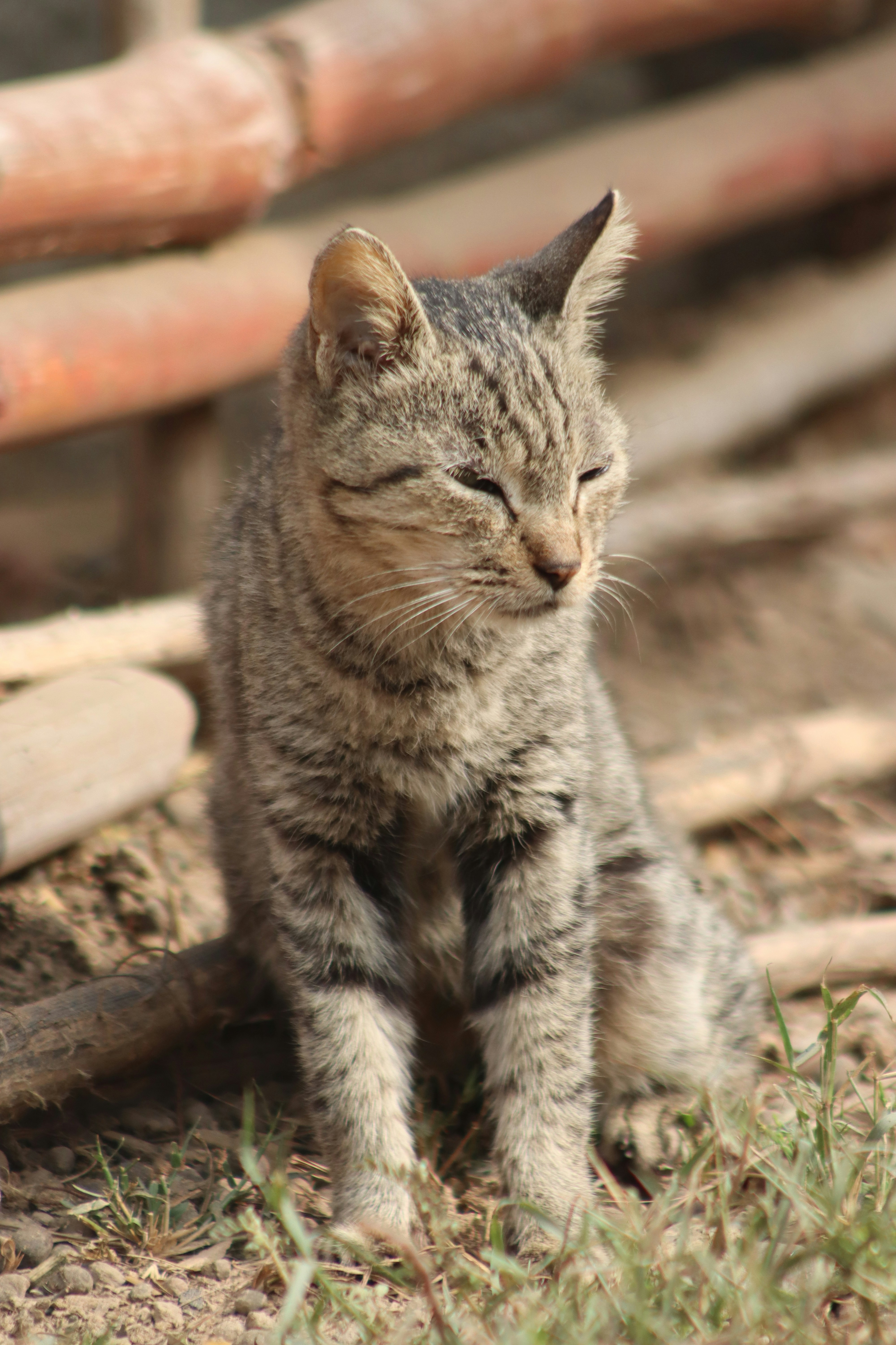 Photo by drphotographer152