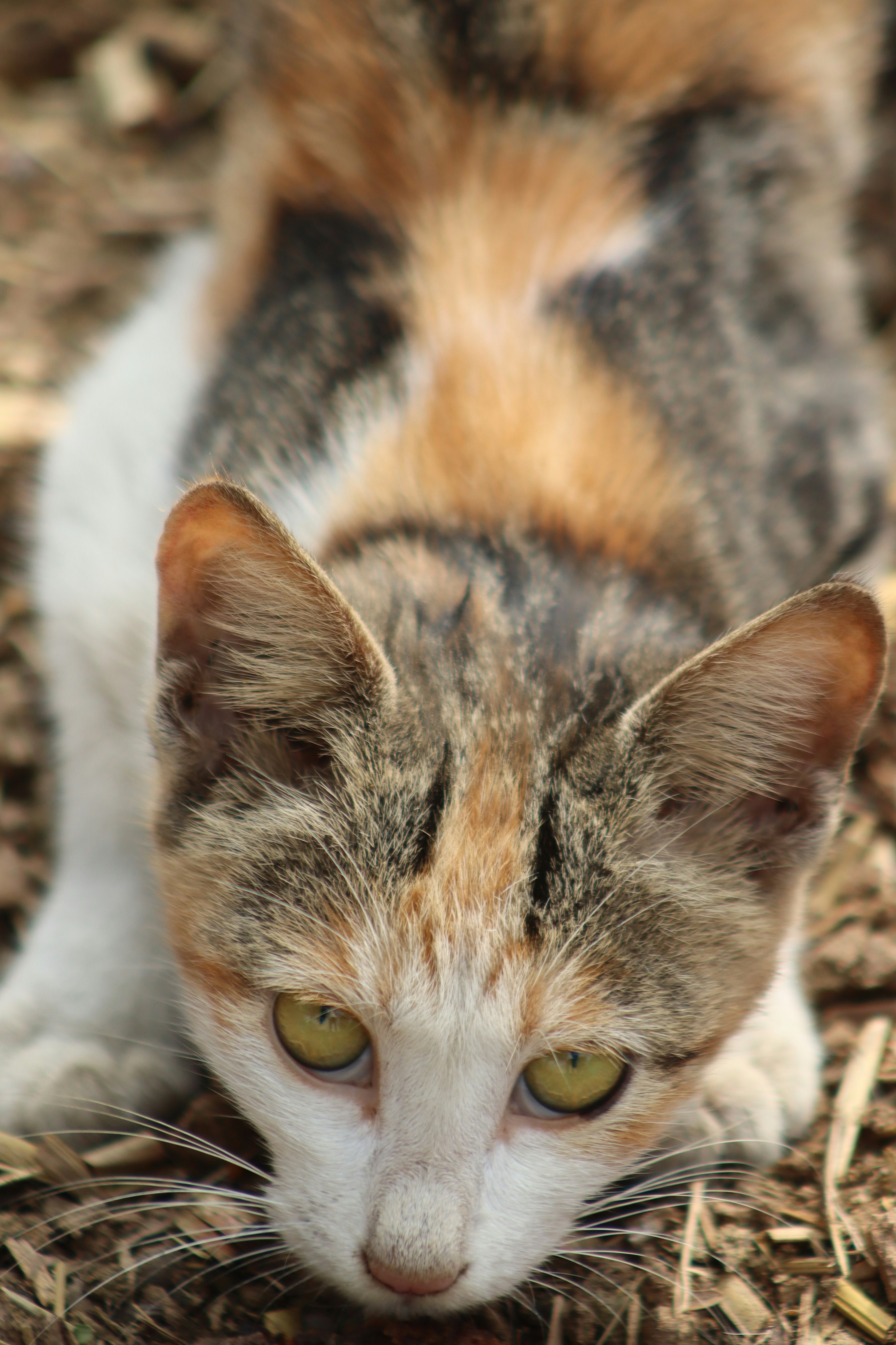 Photo by drphotographer152