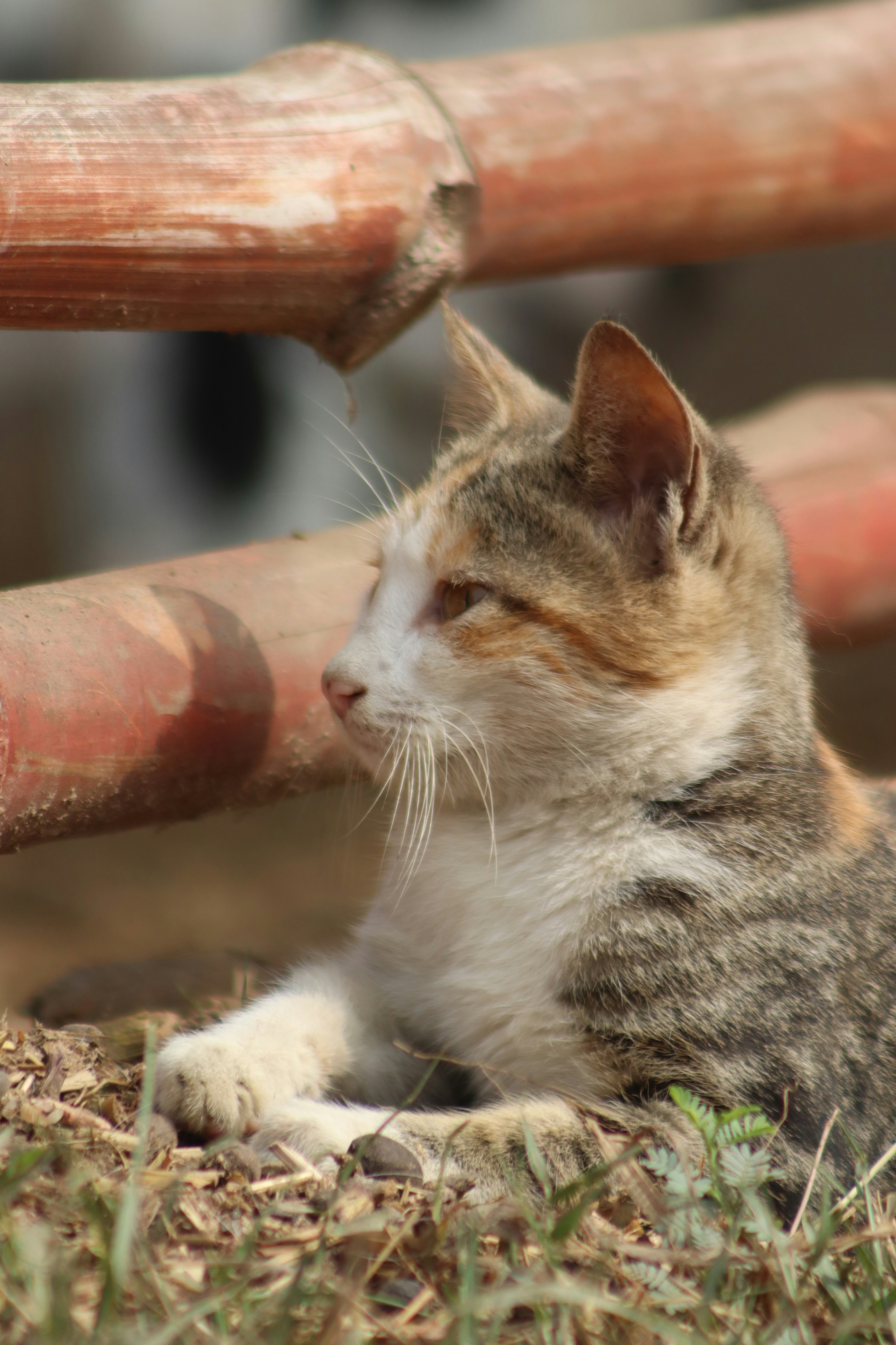 Photo by drphotographer152