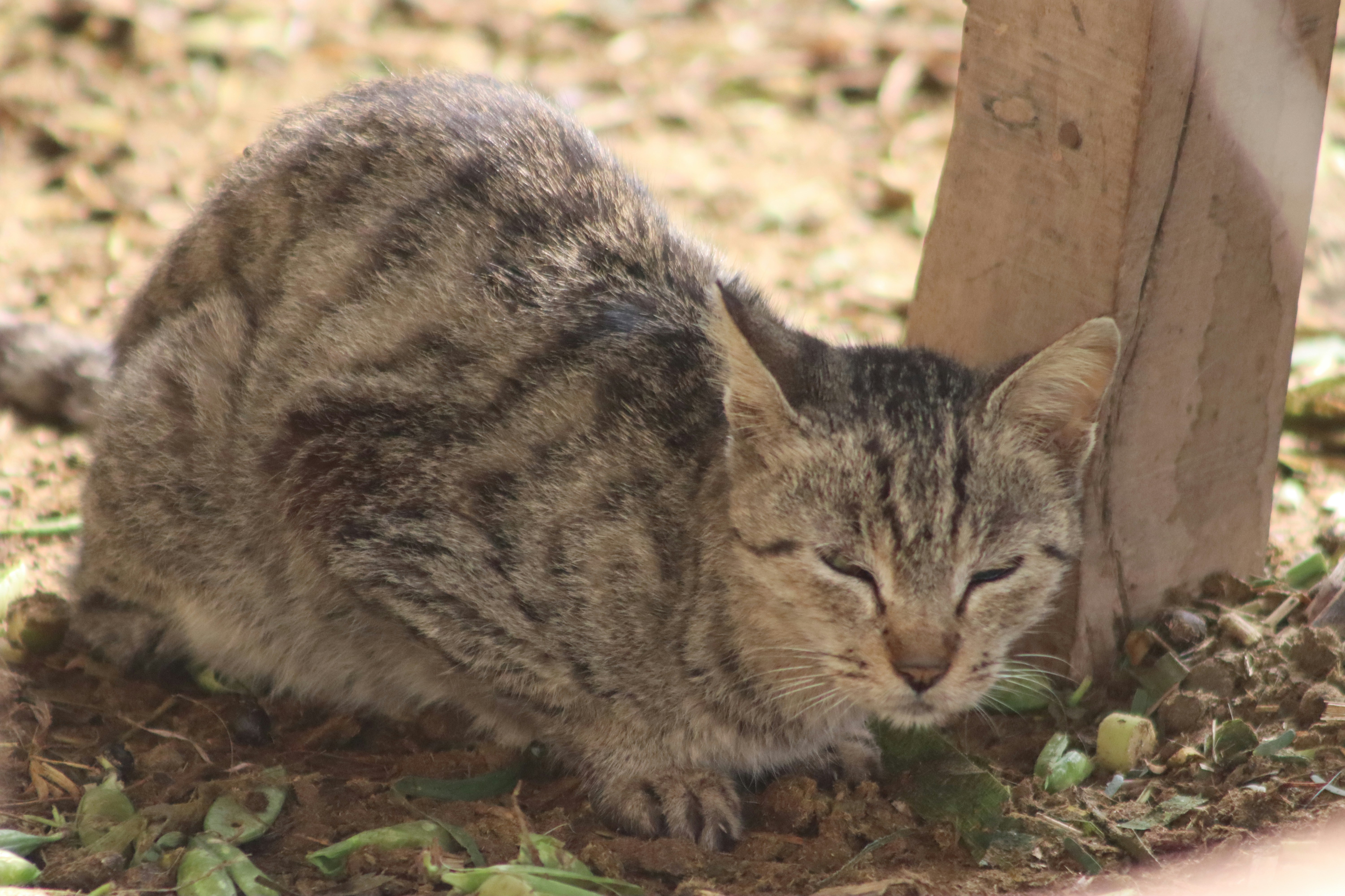 Photo by drphotographer152