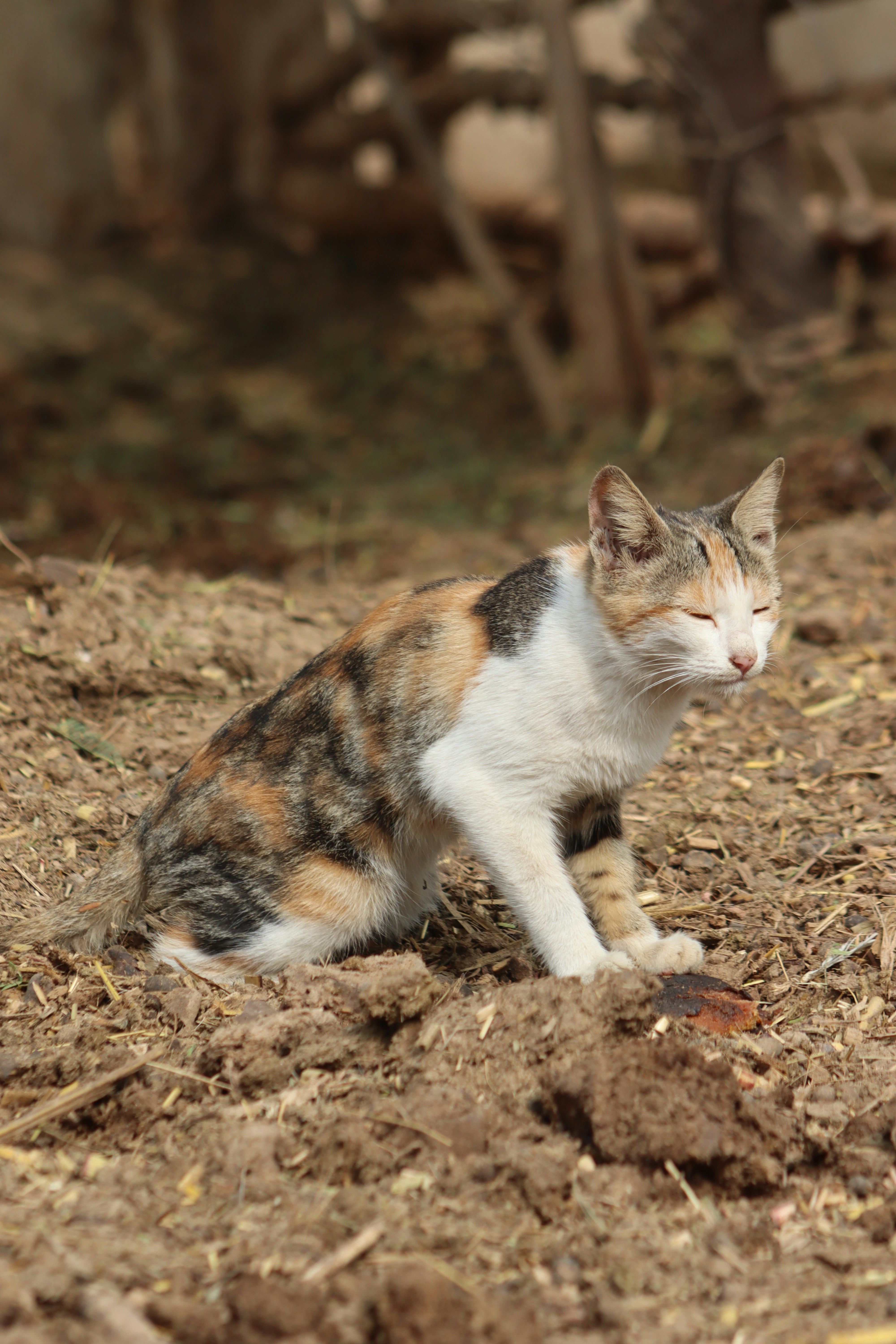 Photo by drphotographer152