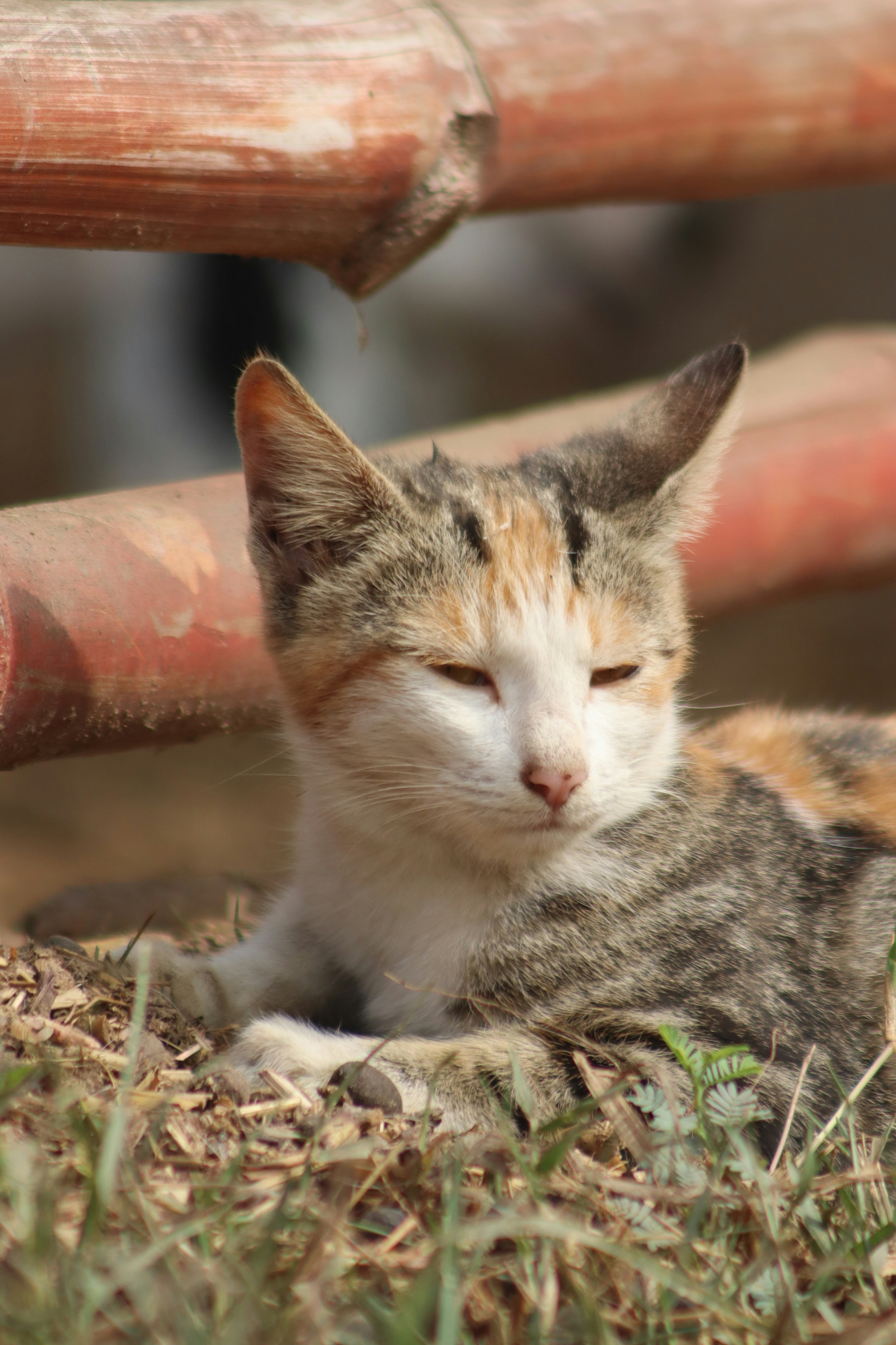 Photo by drphotographer152