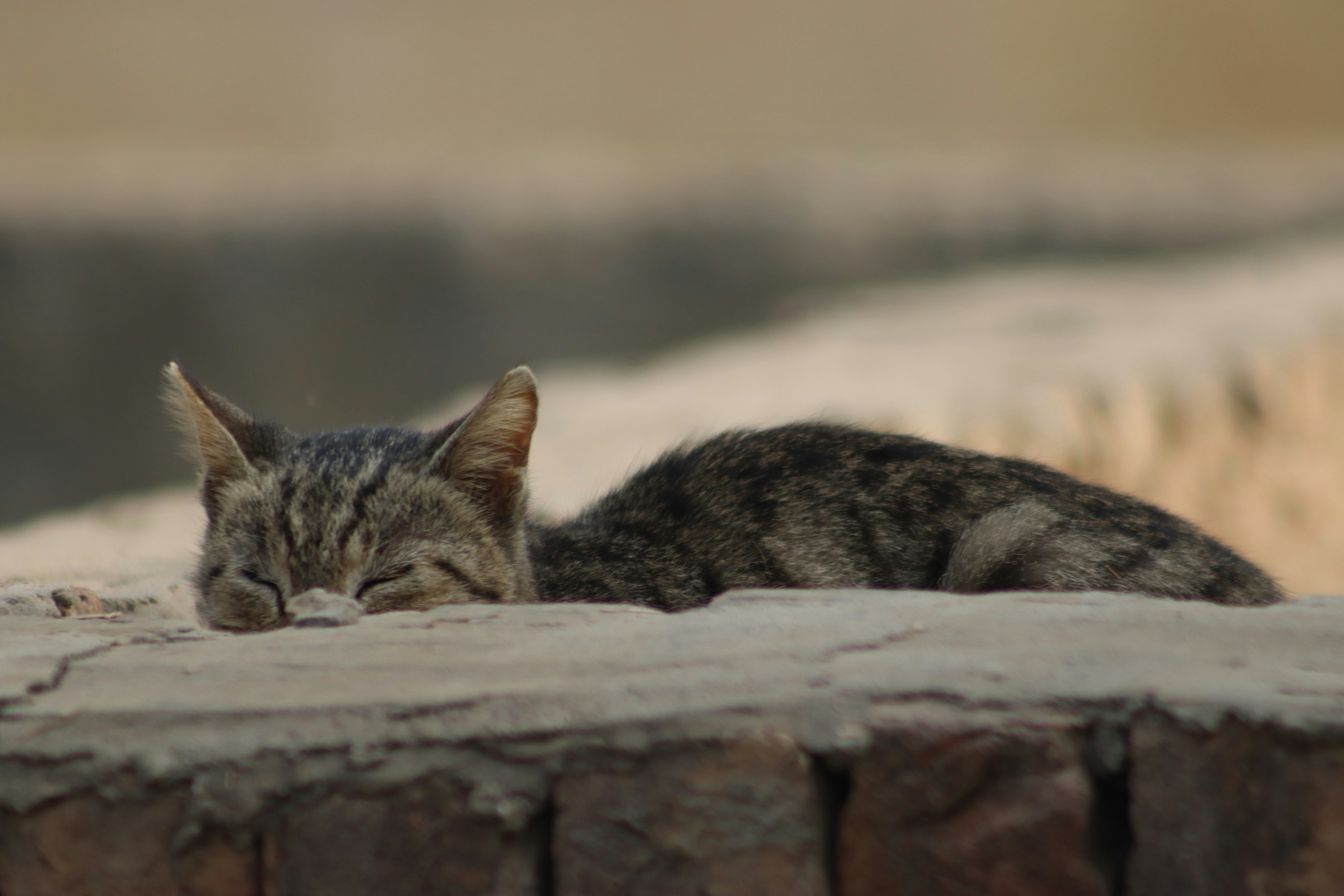 Photo by drphotographer152