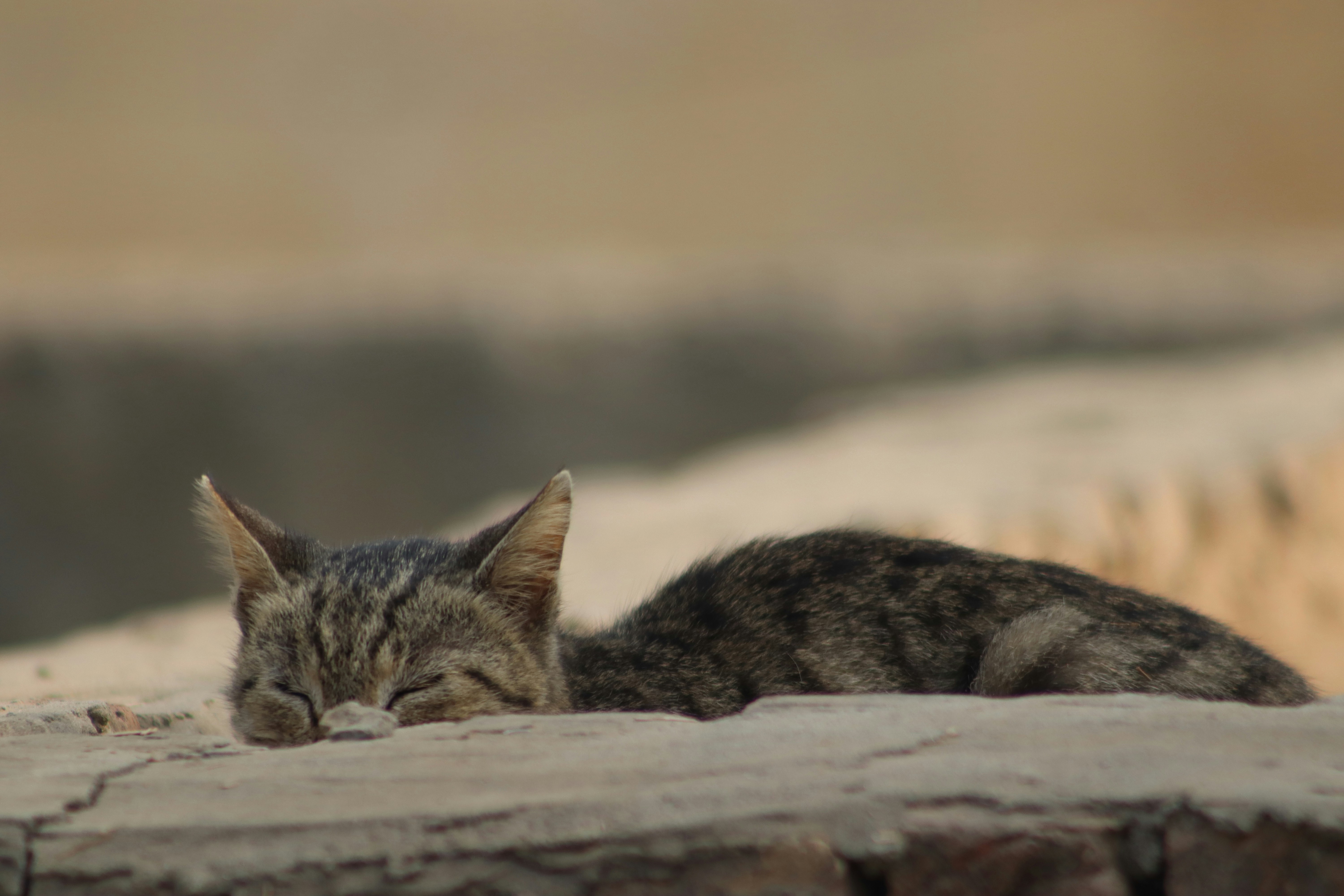 Photo by drphotographer152