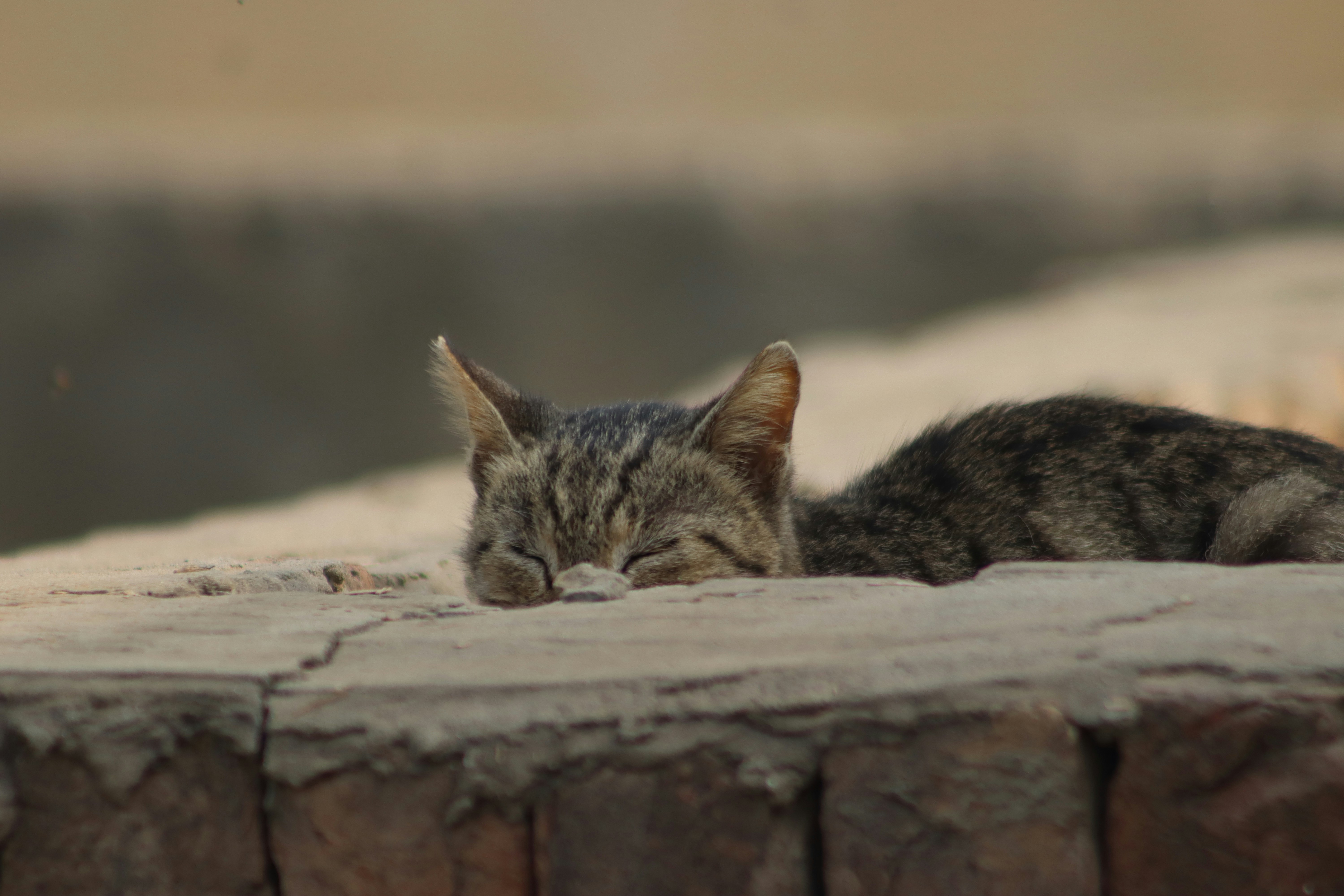 Photo by drphotographer152