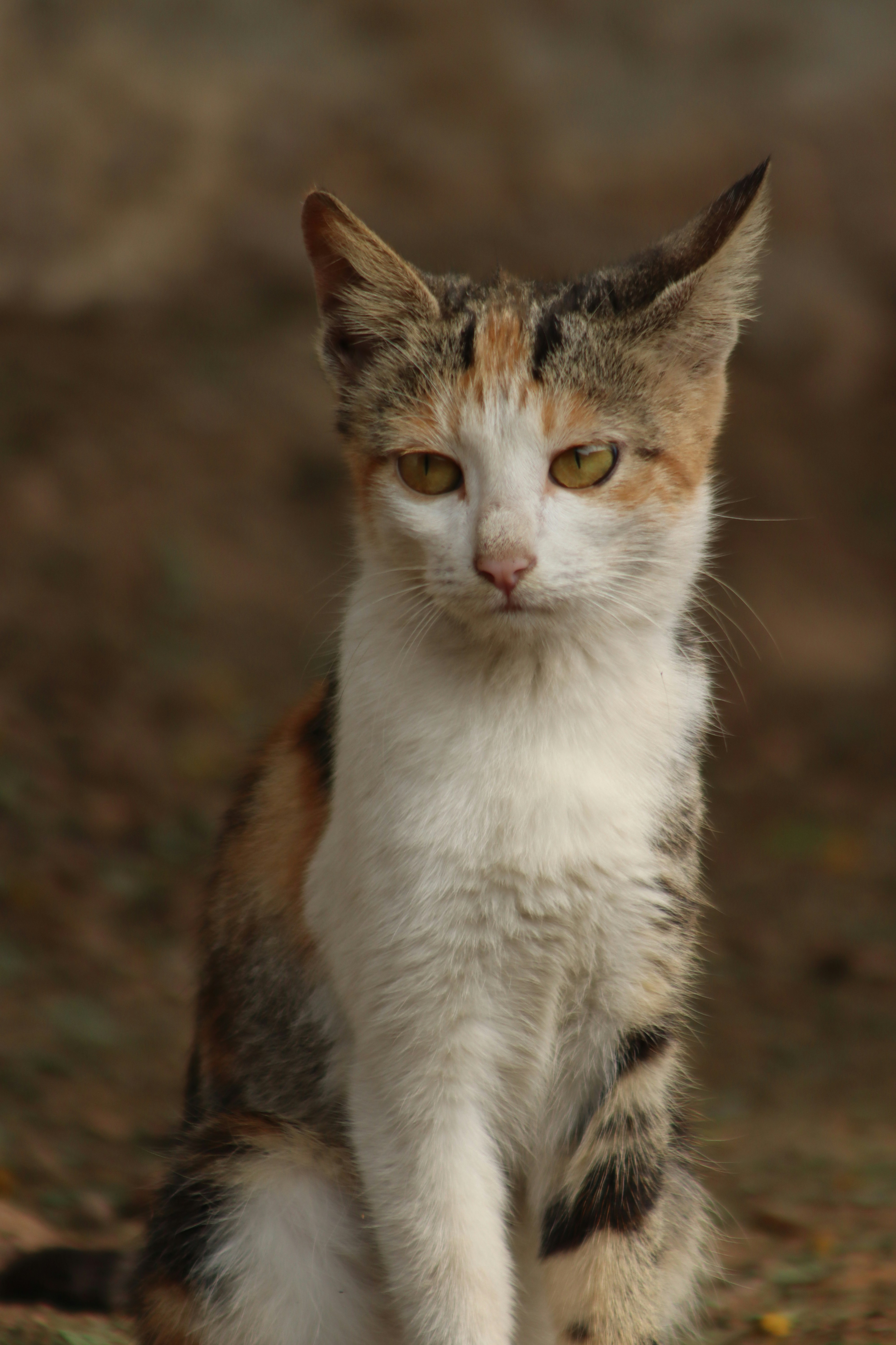 Photo by drphotographer152