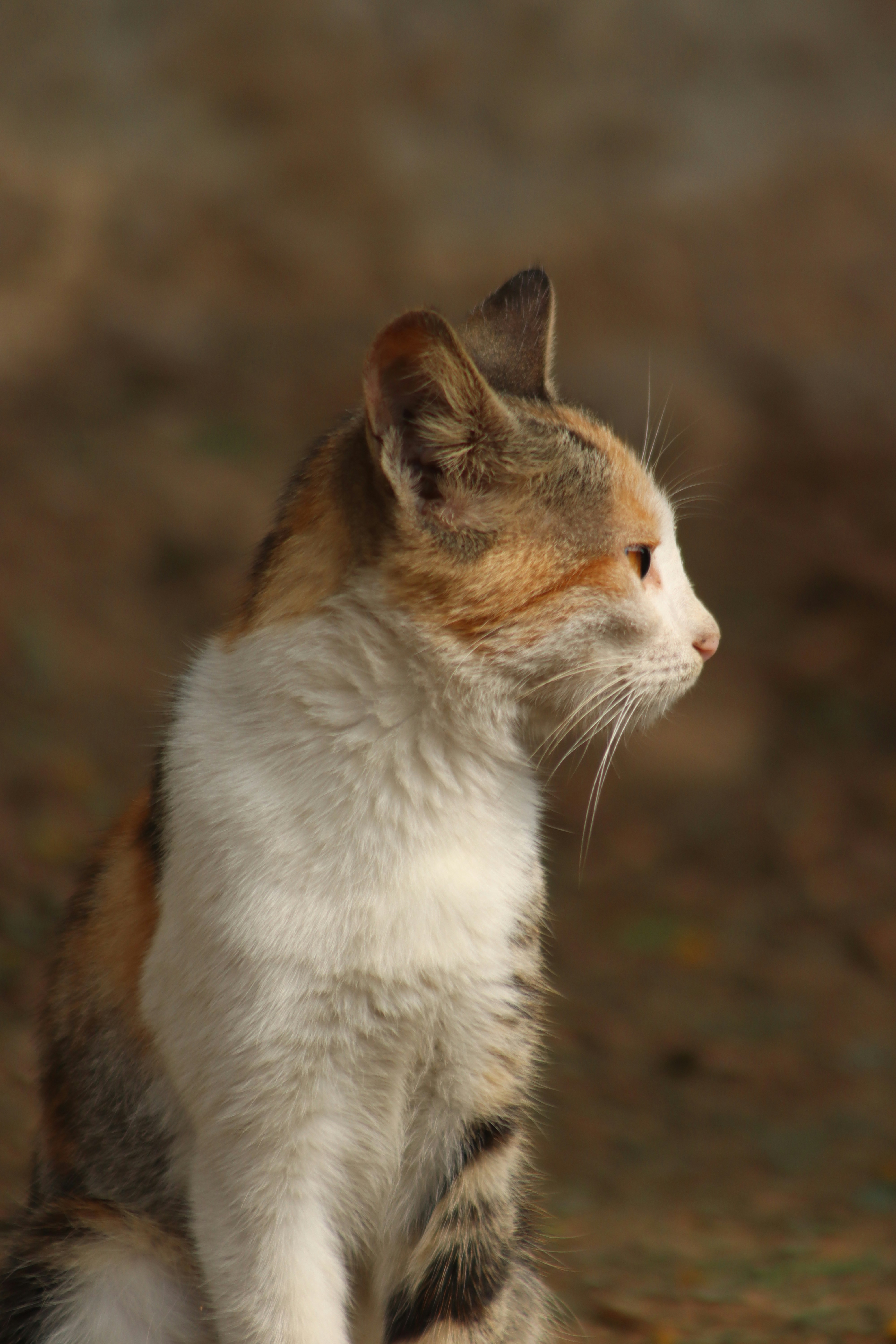 Photo by drphotographer152