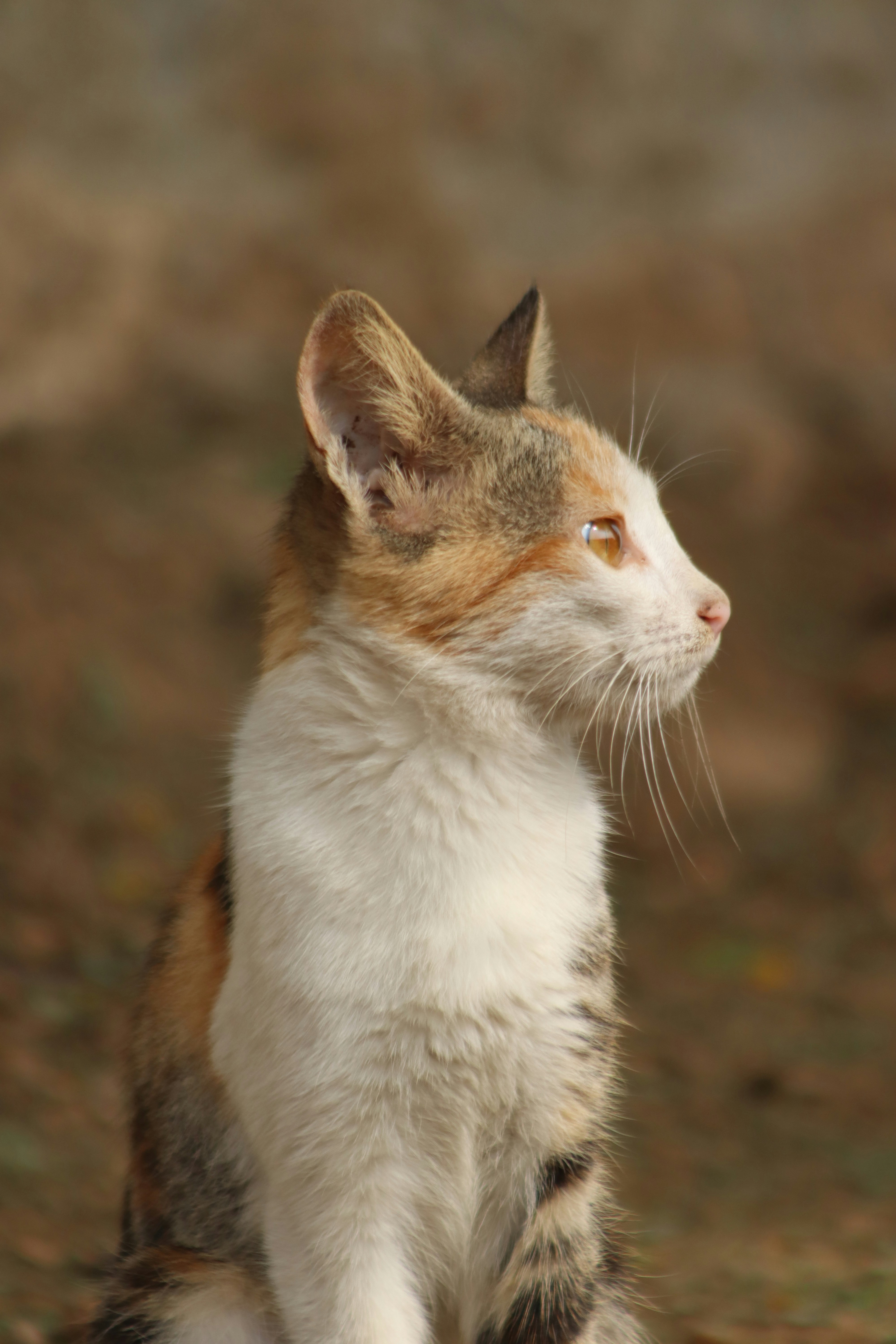 Photo by drphotographer152