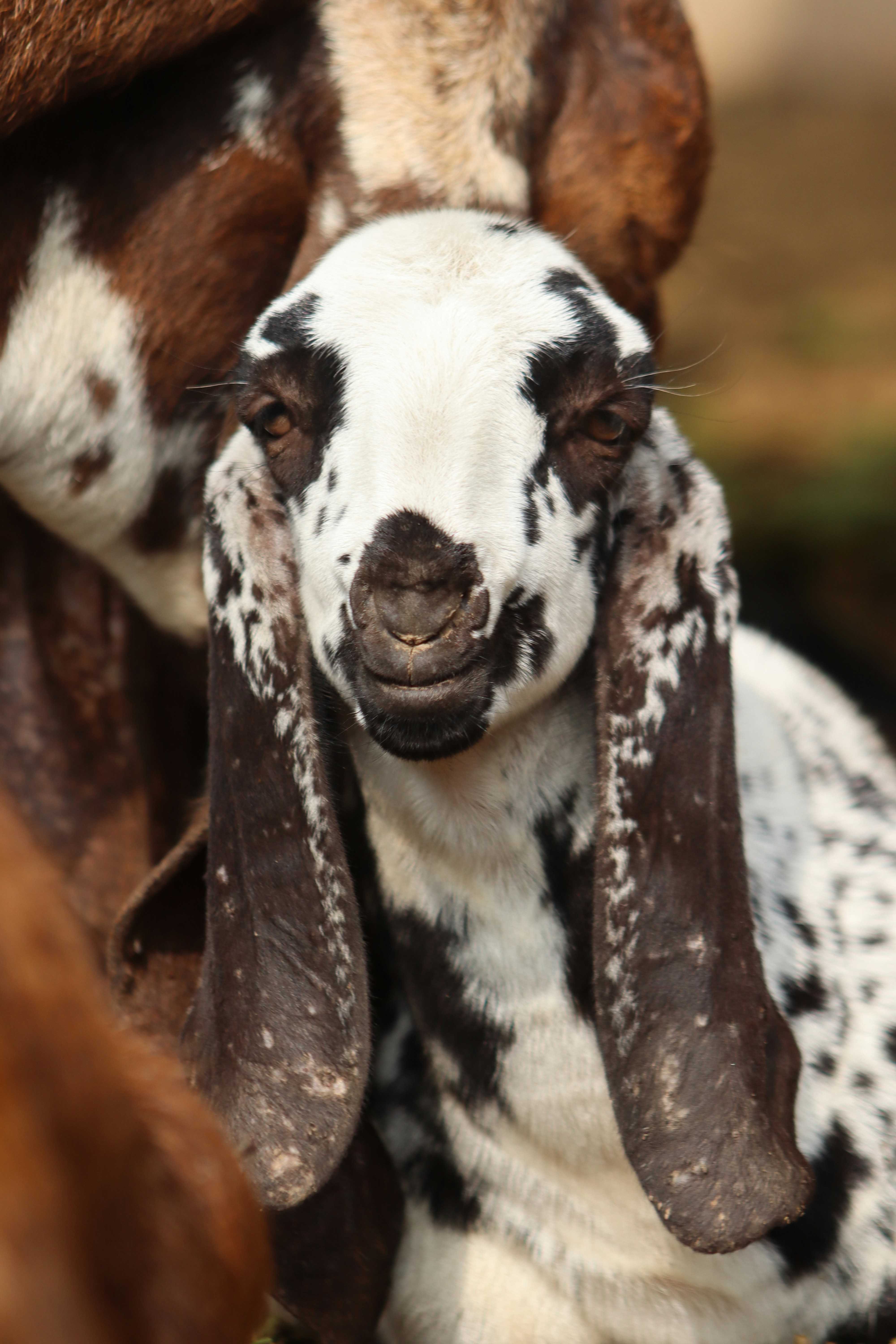 Photo by drphotographer152