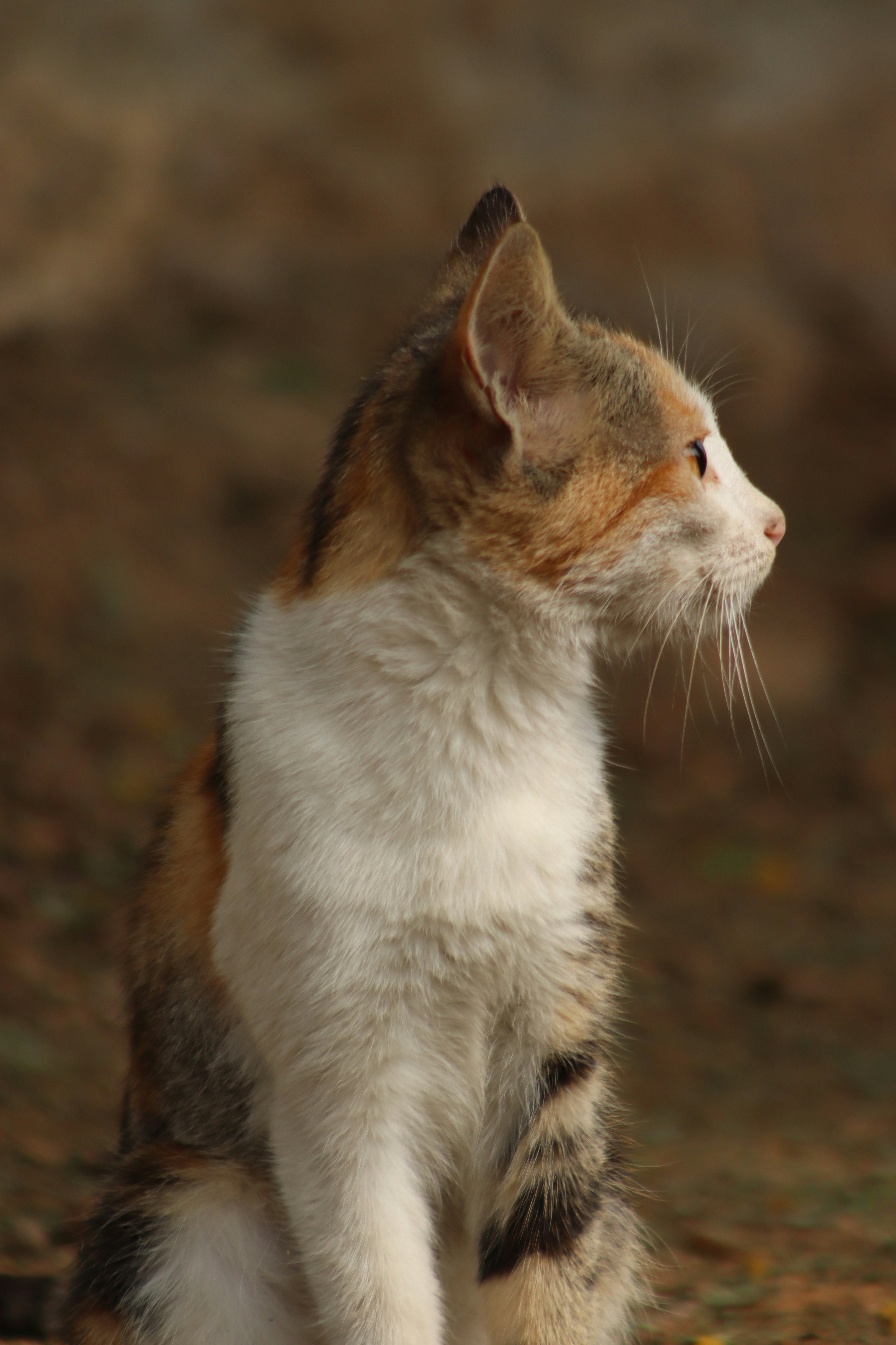 Photo by drphotographer152