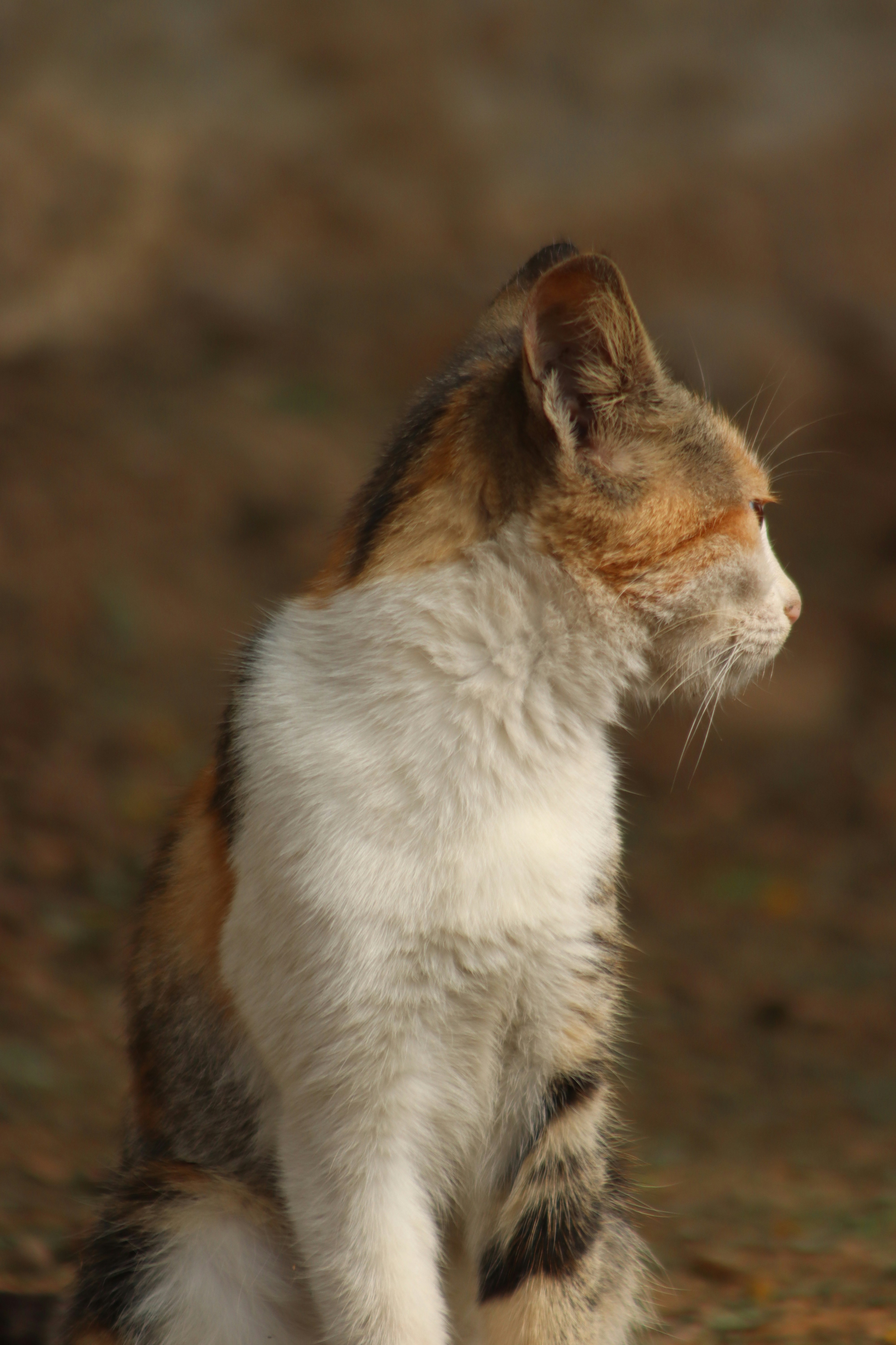 Photo by drphotographer152