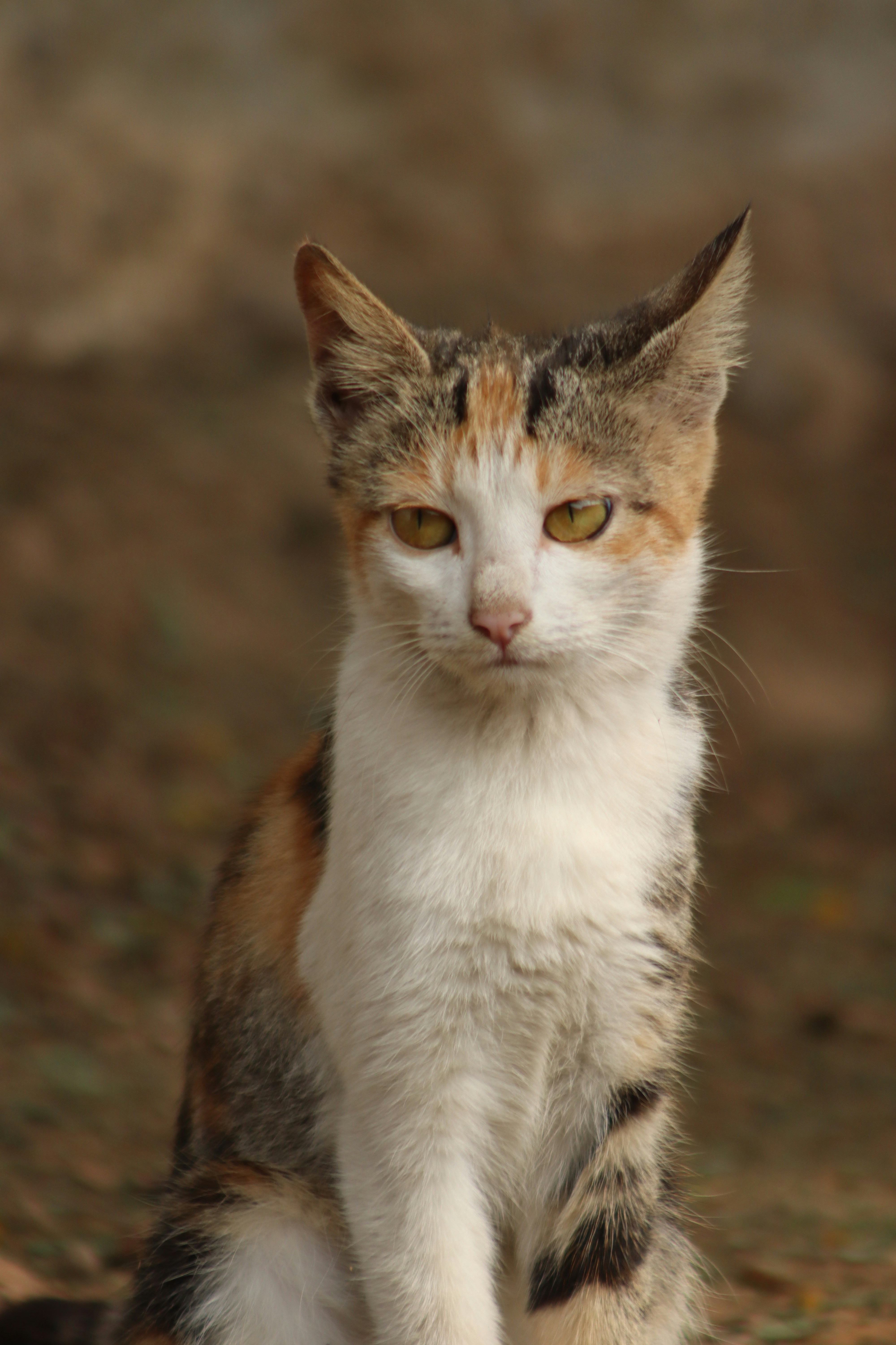 Photo by drphotographer152