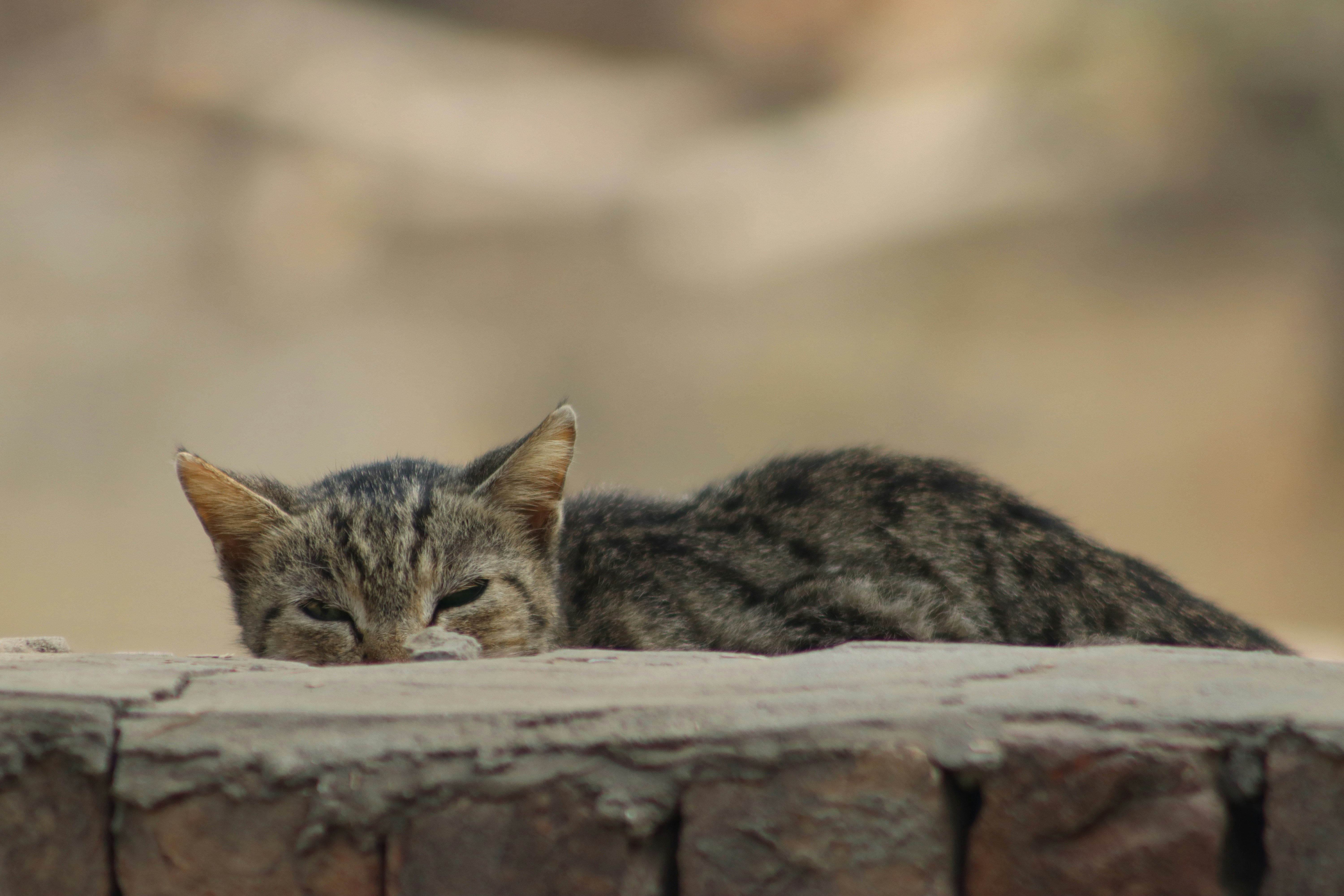 Photo by drphotographer152