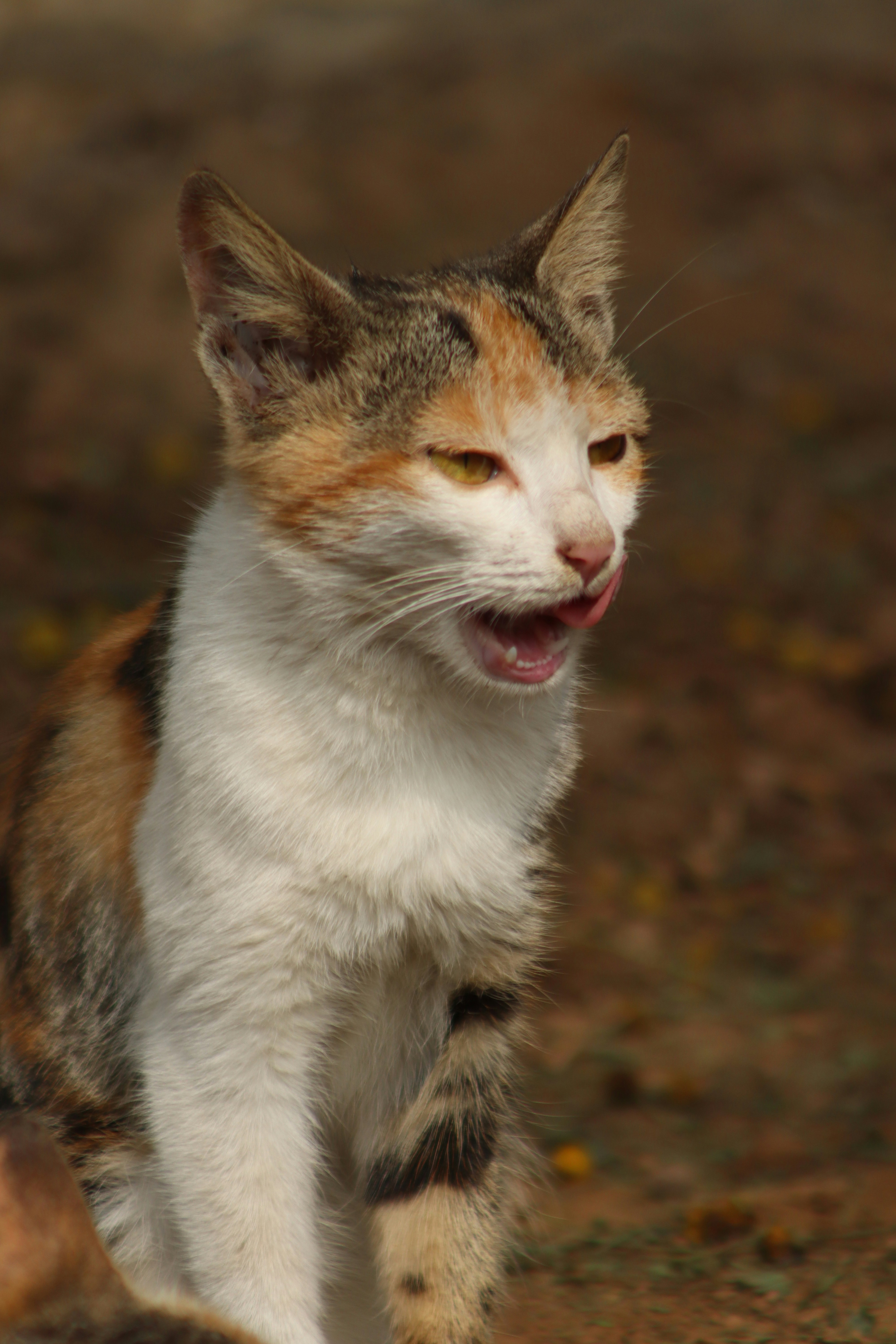 Photo by drphotographer152