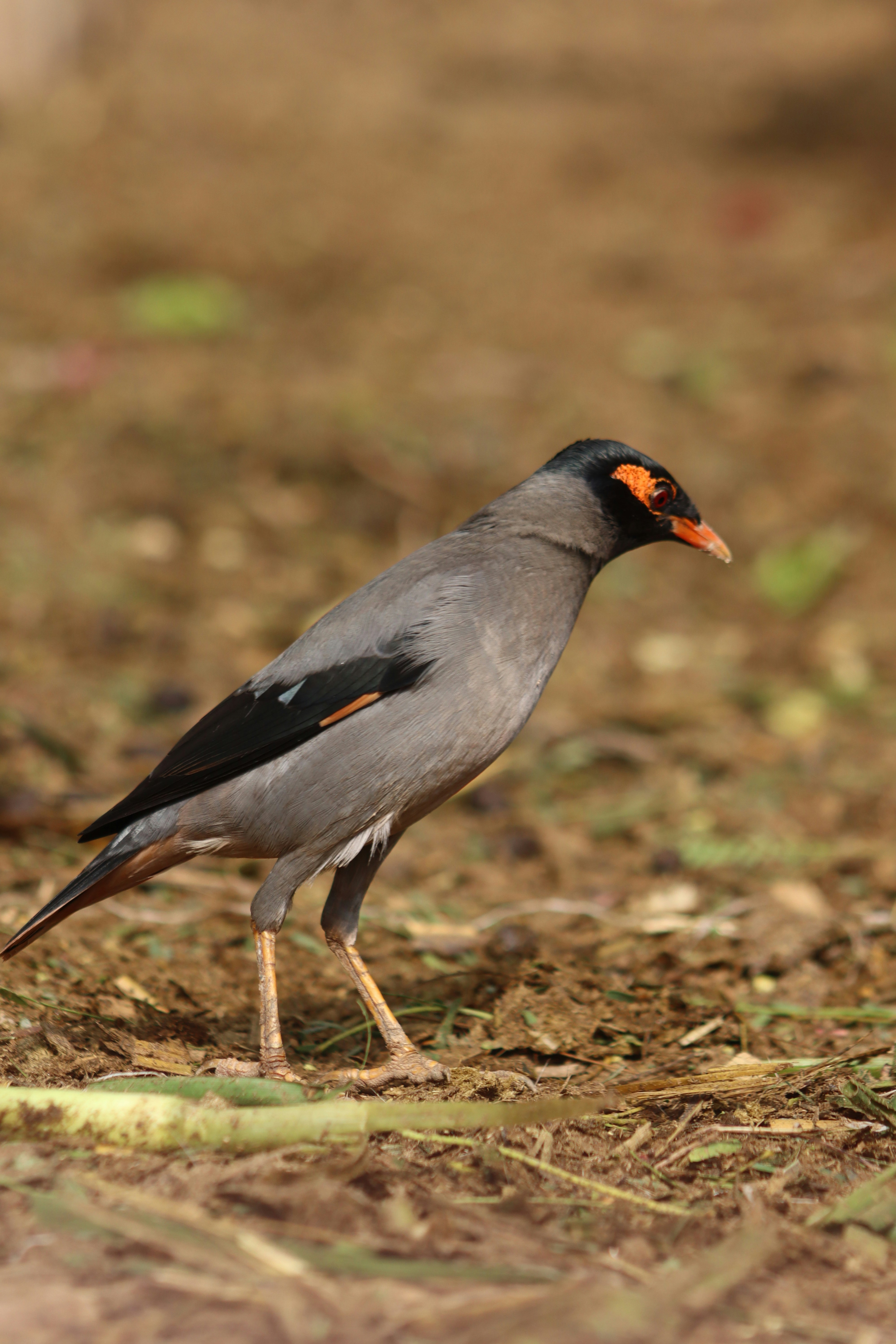 Photo by drphotographer152