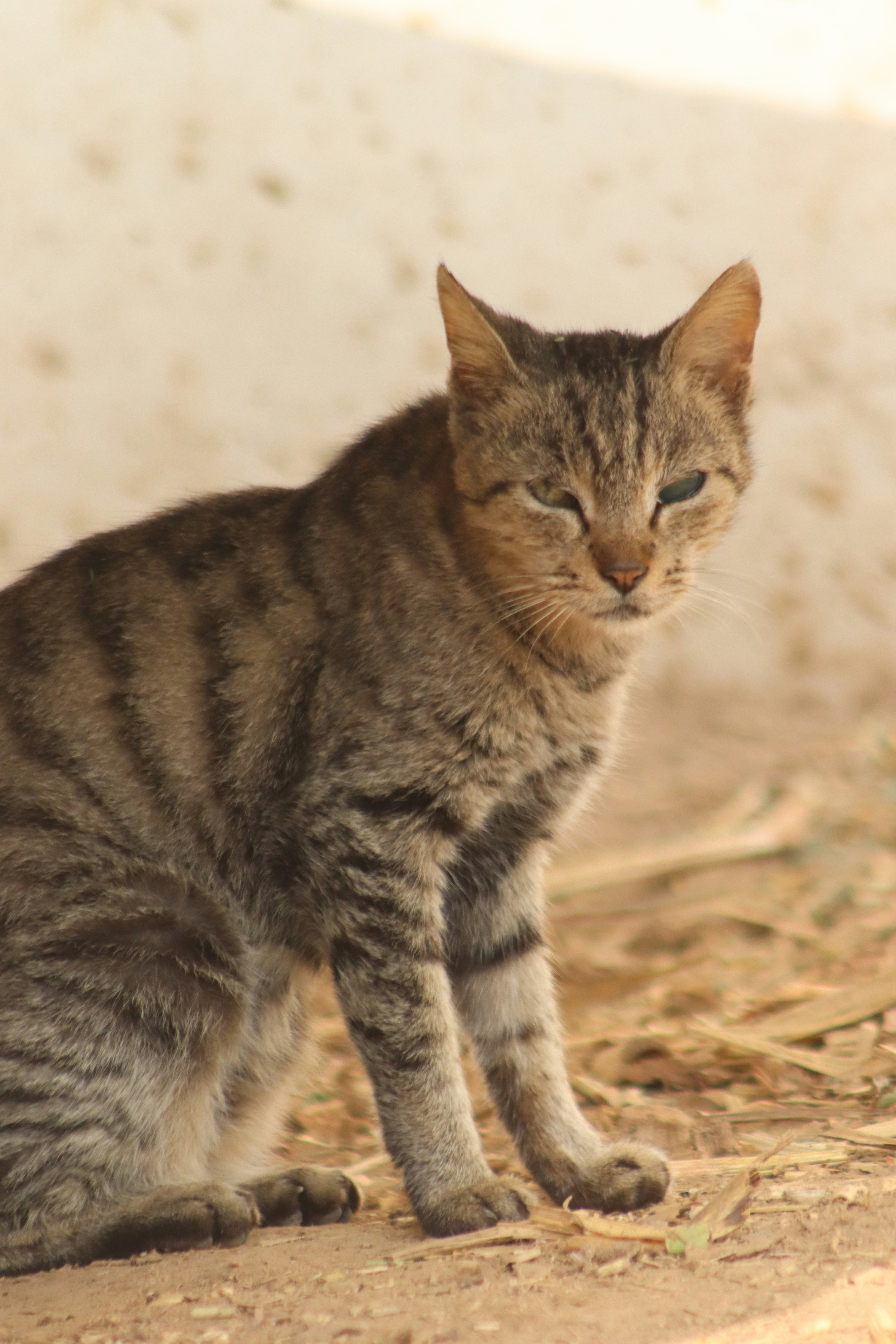 Photo by drphotographer152