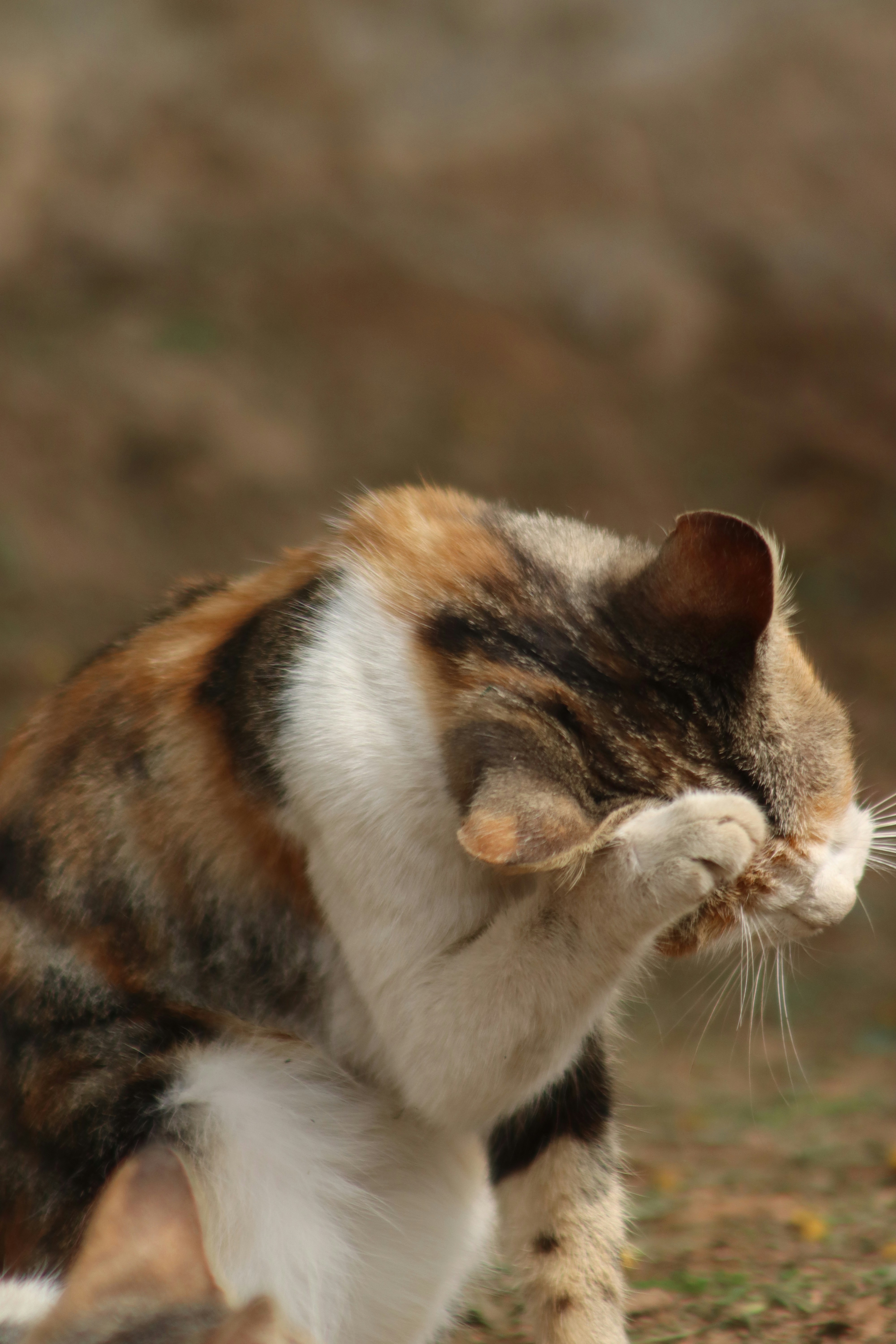 Photo by drphotographer152