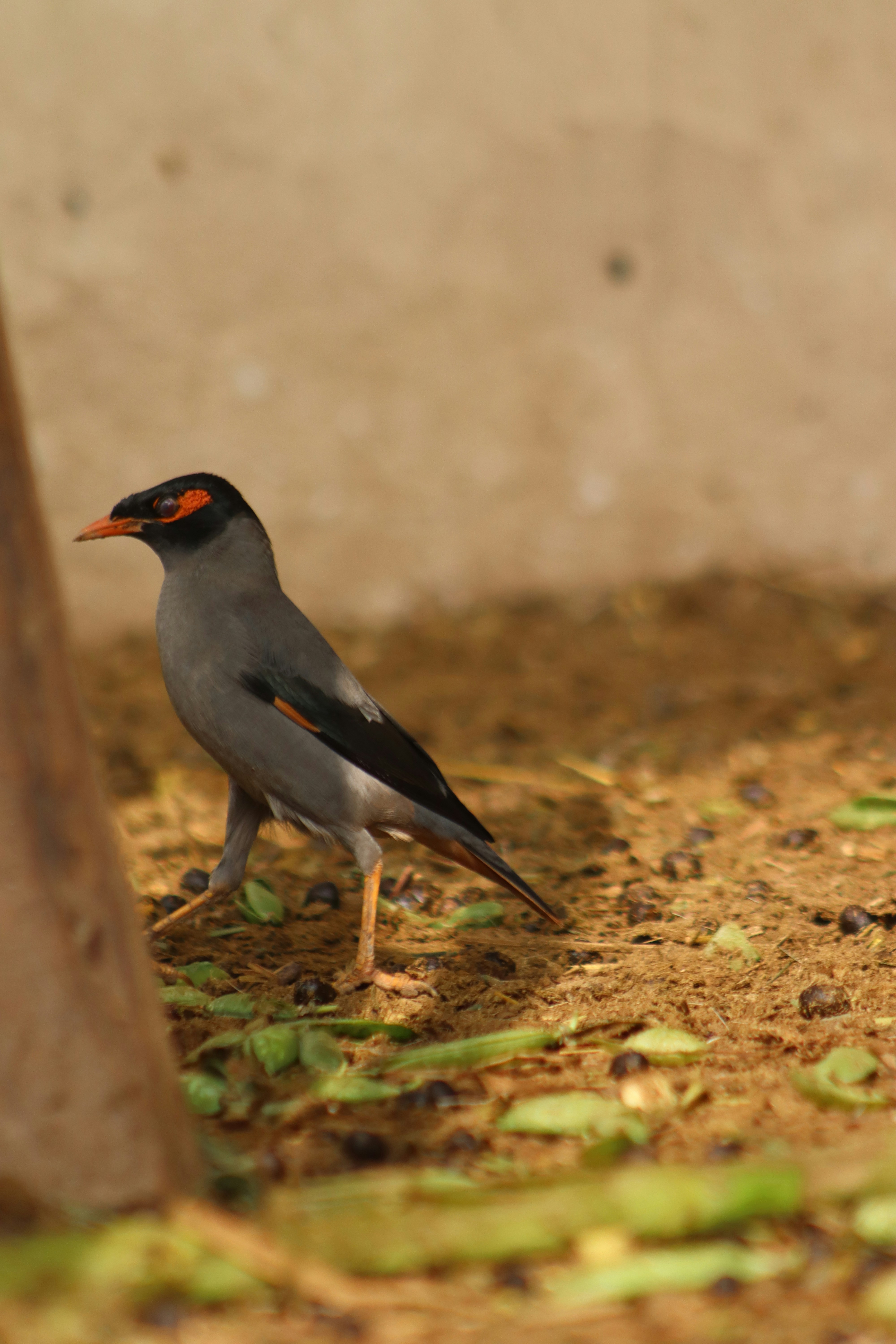 Photo by drphotographer152