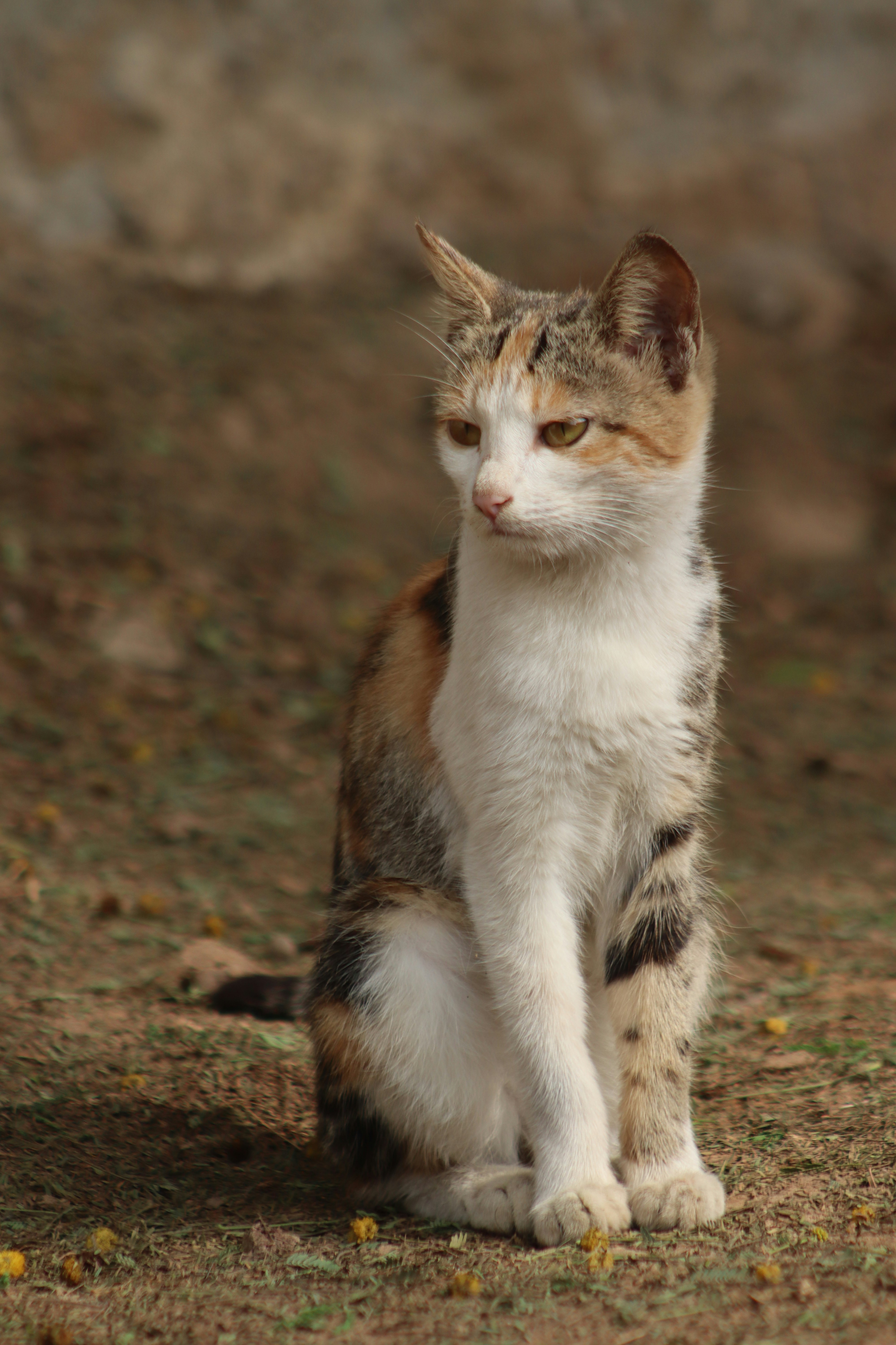 Photo by drphotographer152