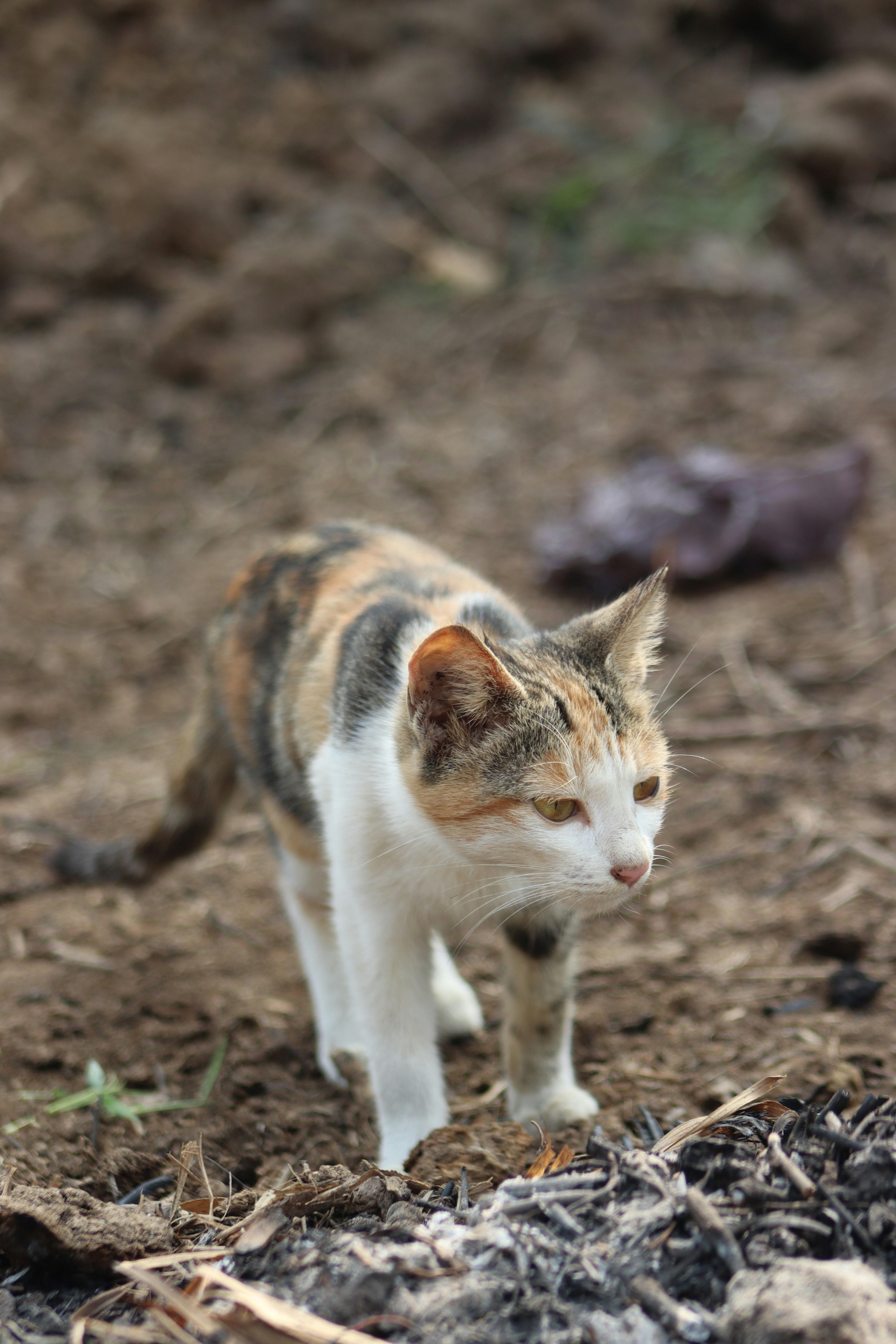 Photo by drphotographer152