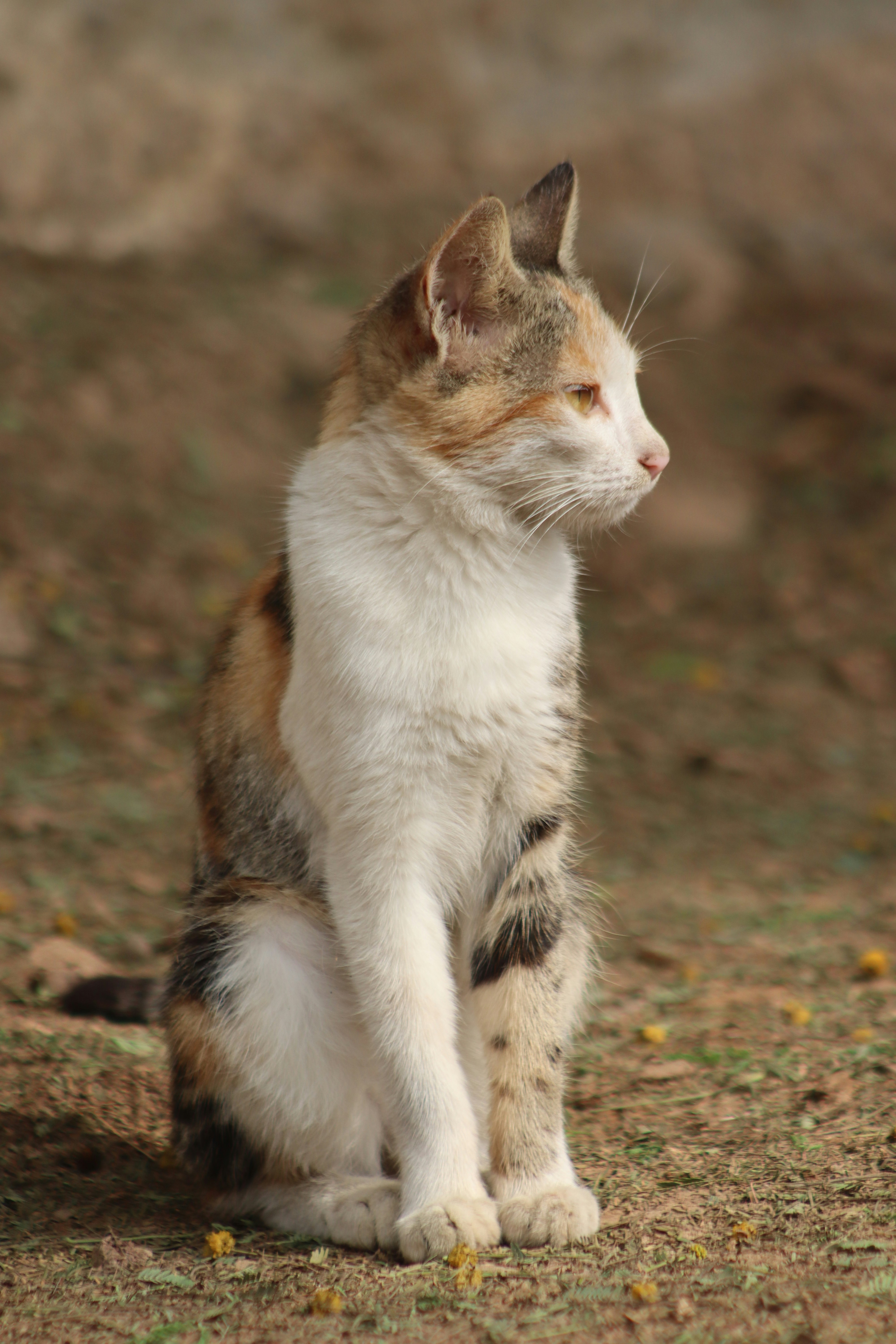 Photo by drphotographer152