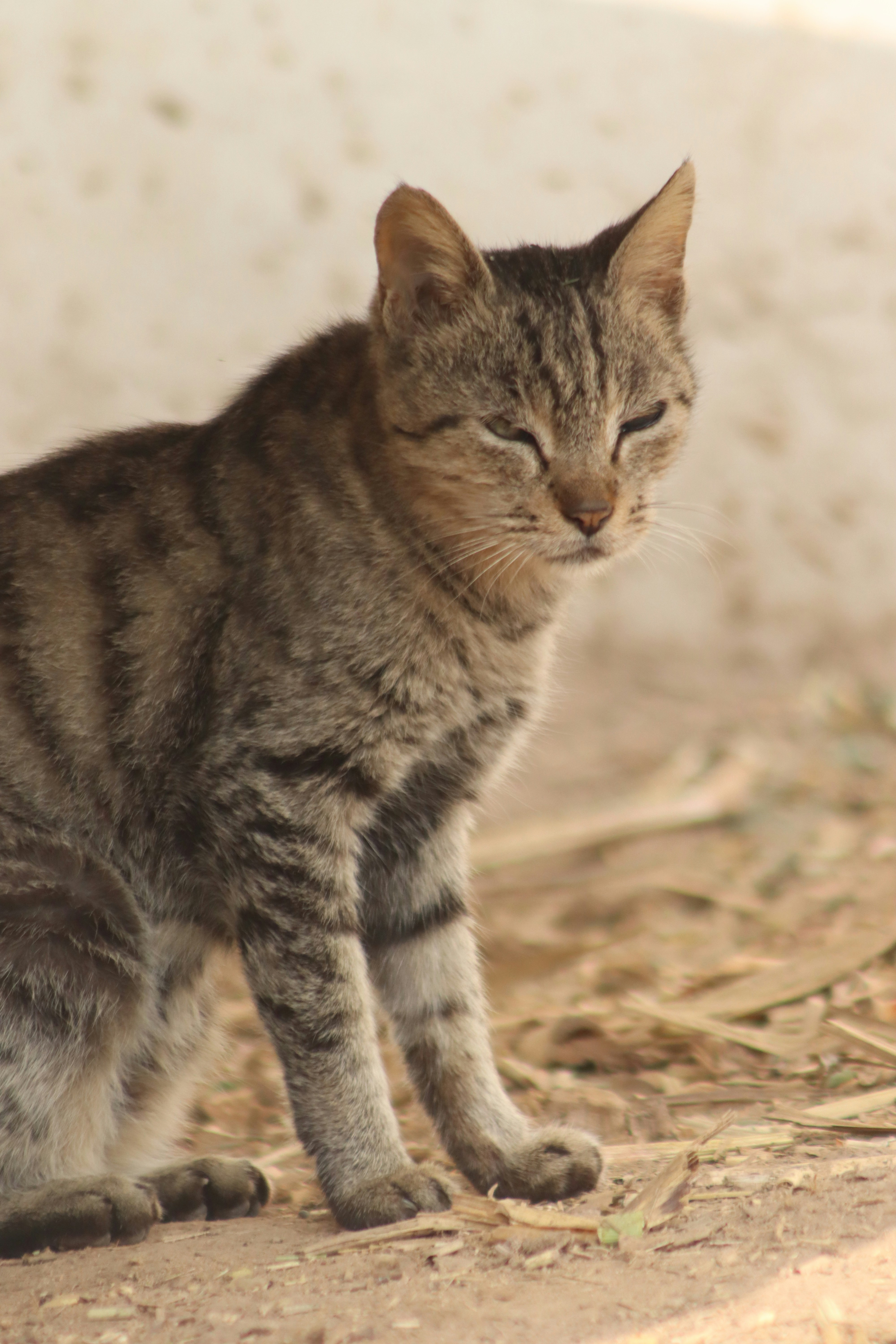 Photo by drphotographer152