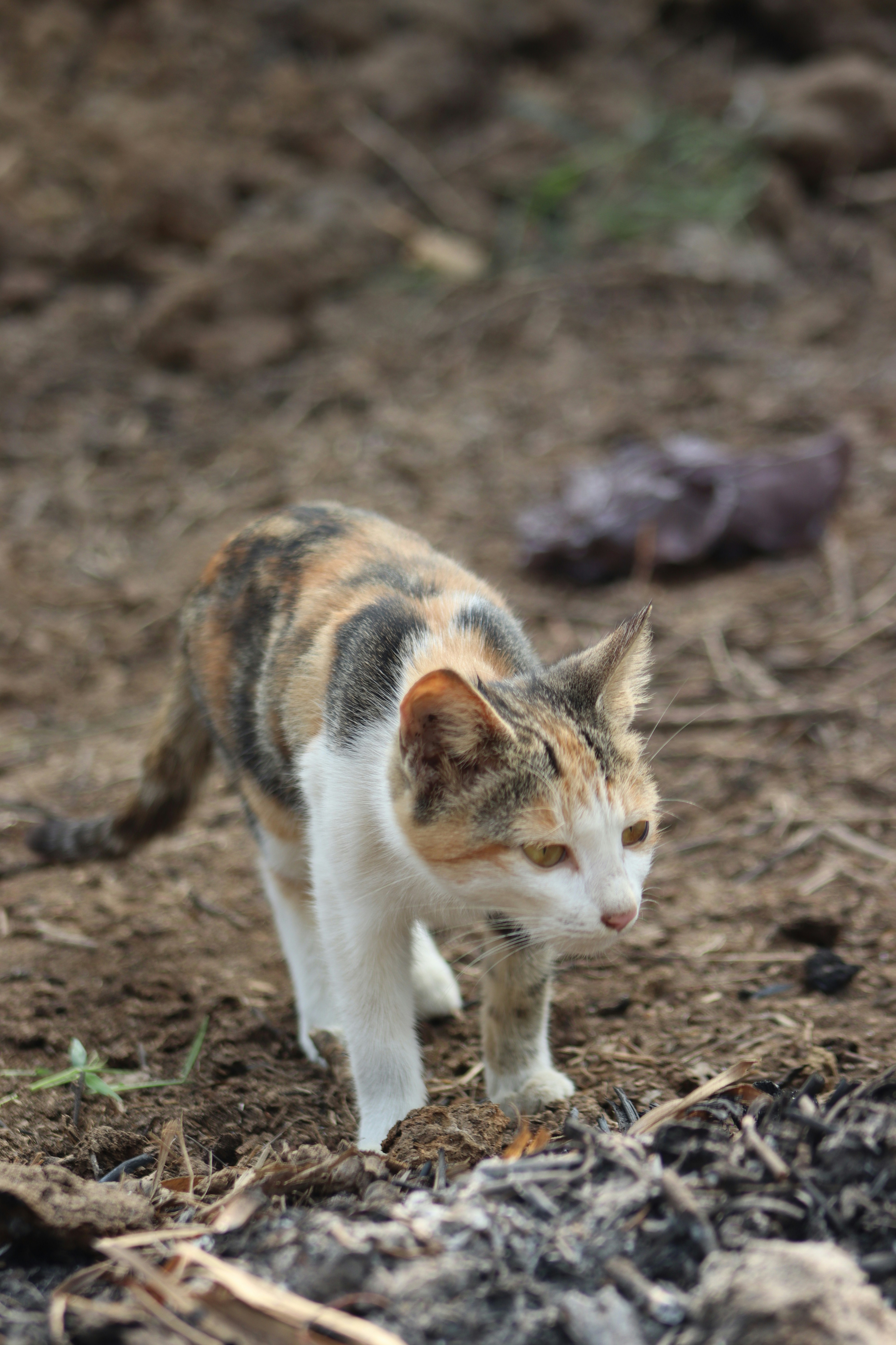 Photo by drphotographer152