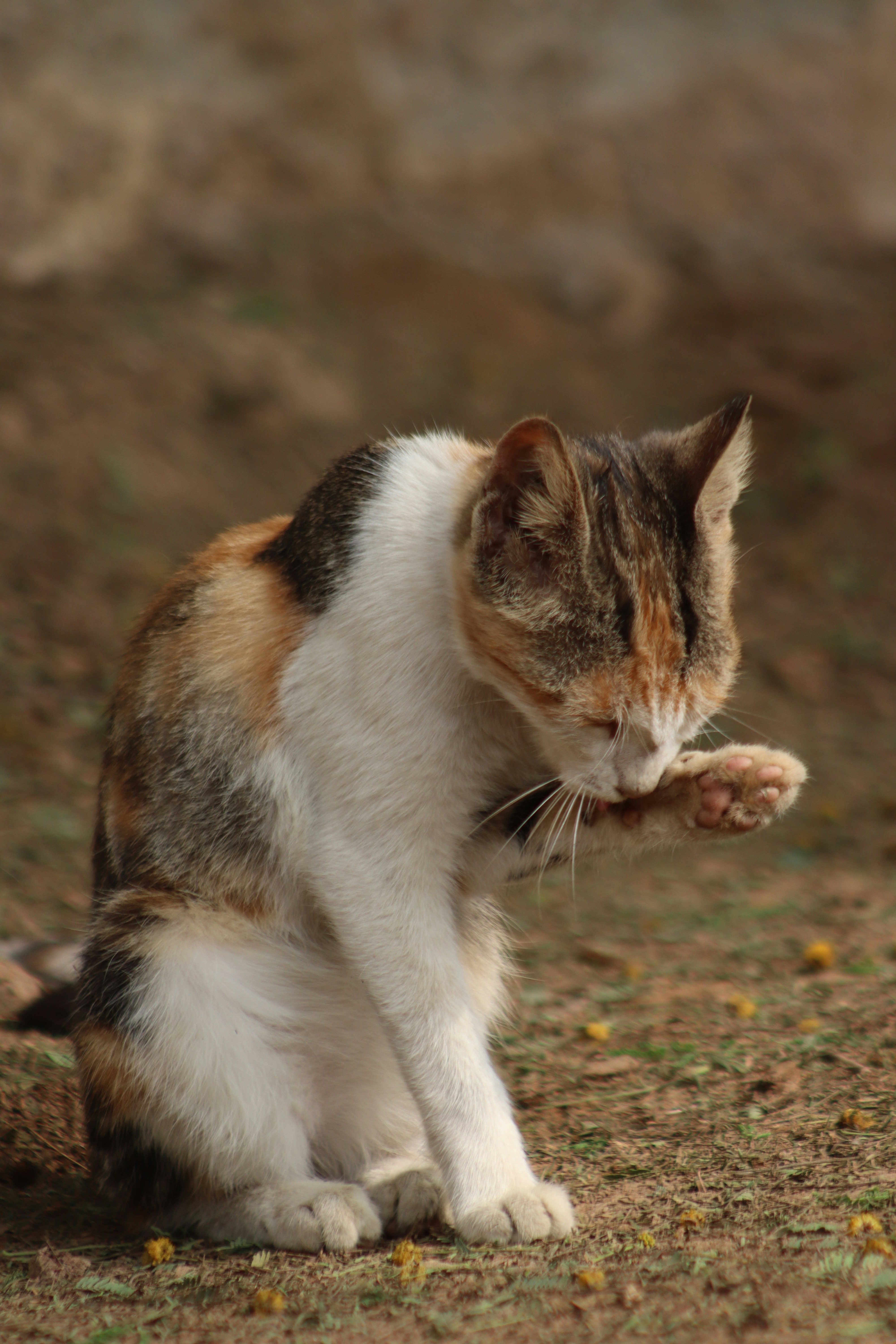 Photo by drphotographer152