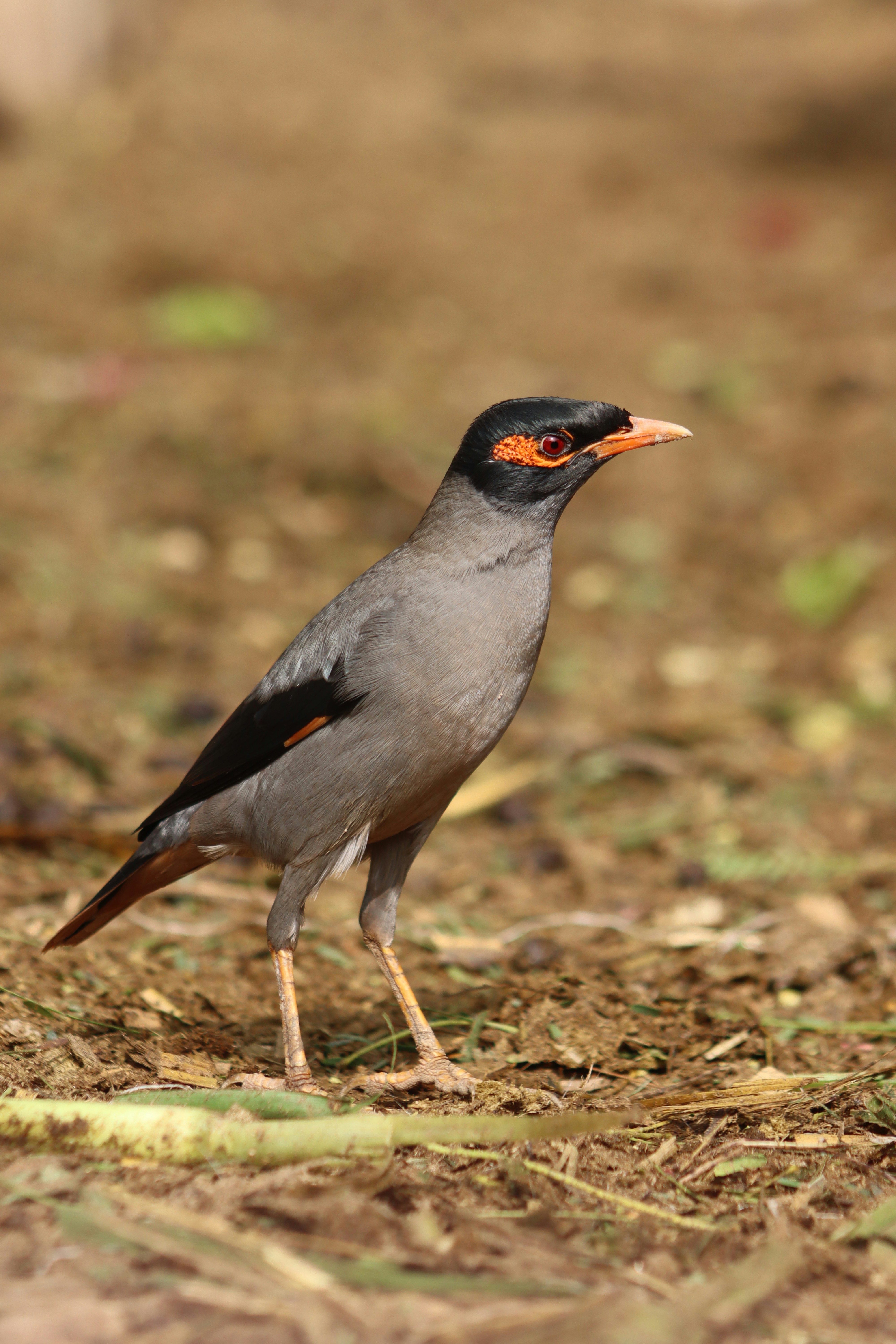 Photo by drphotographer152