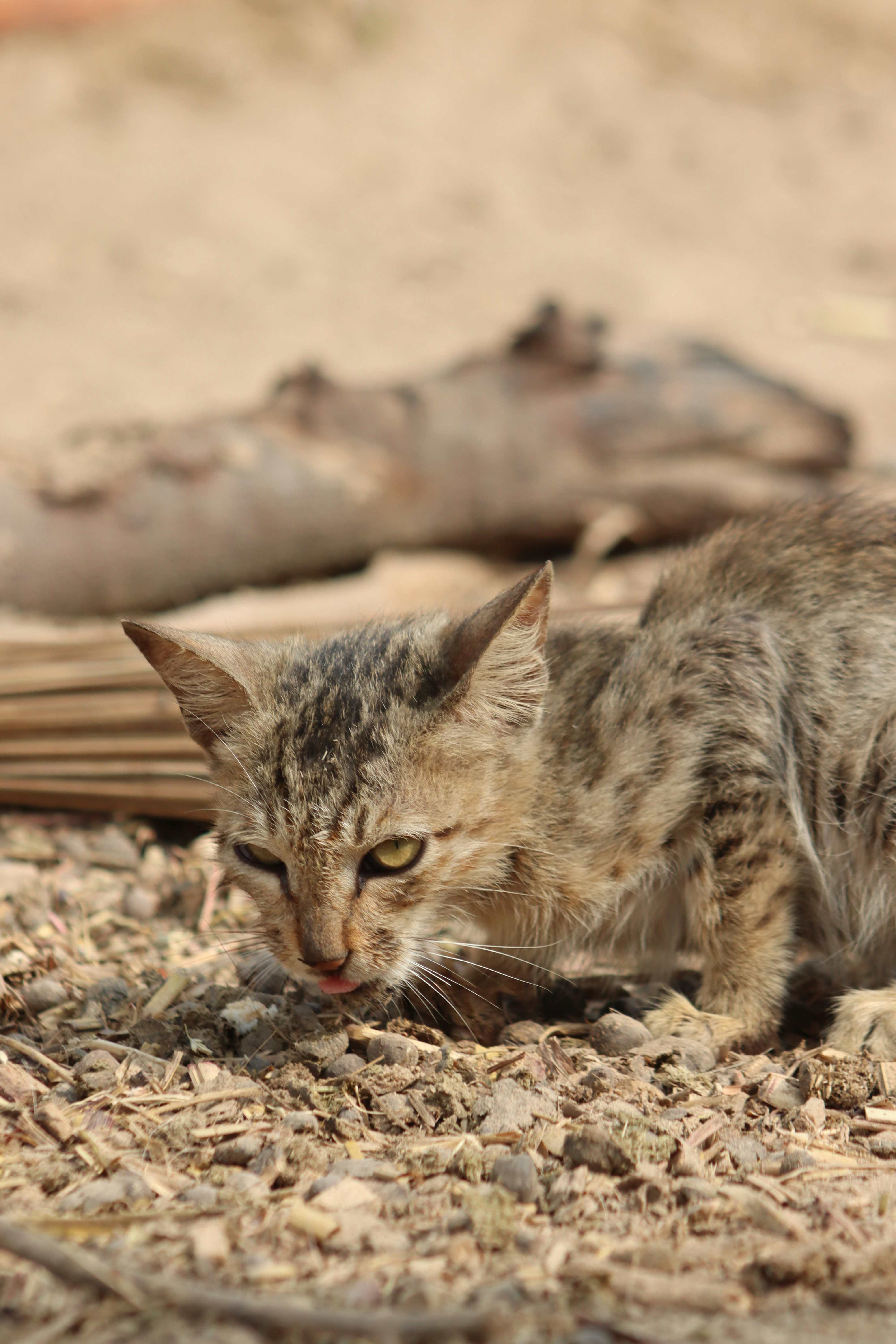 Photo by drphotographer152