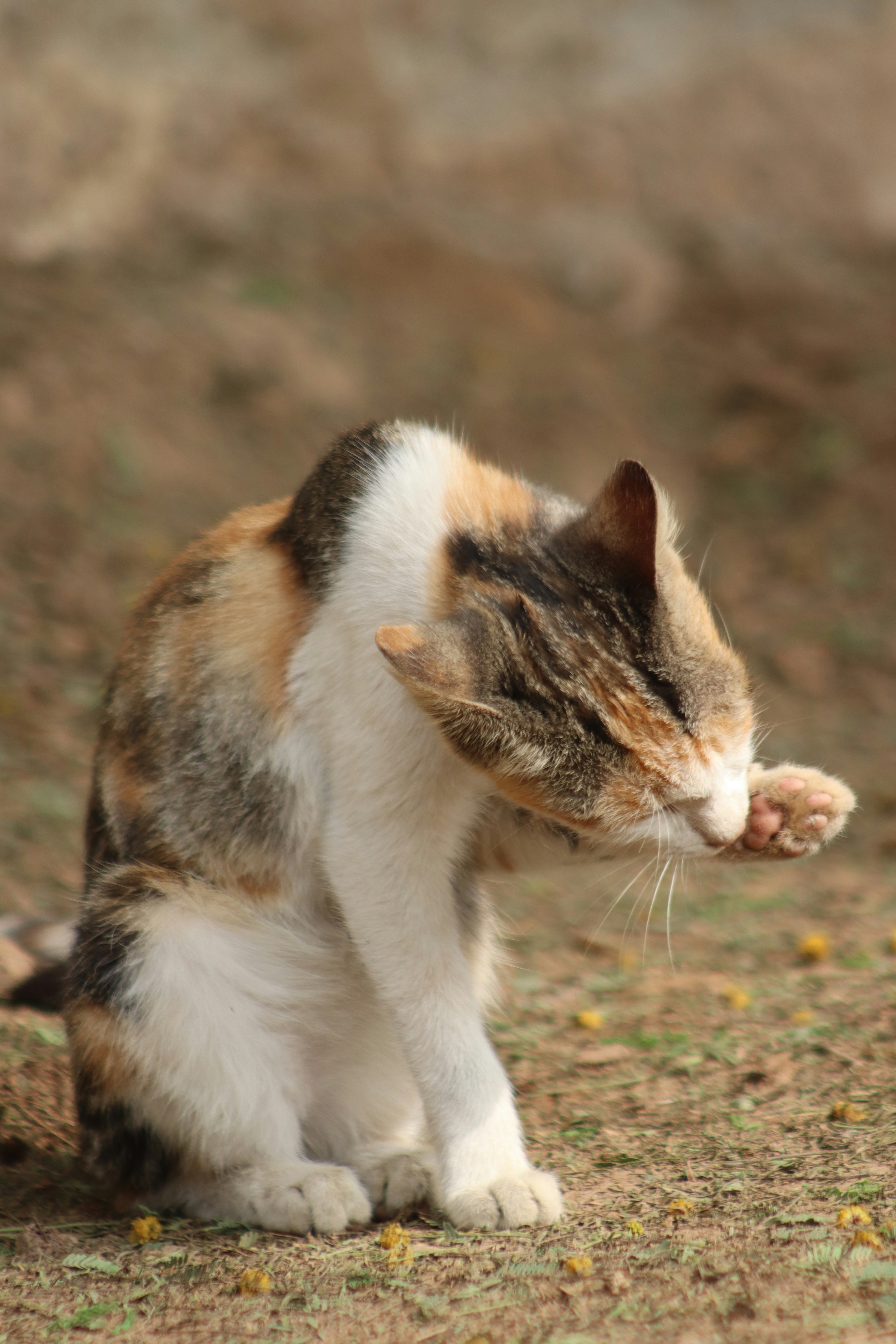 Photo by drphotographer152