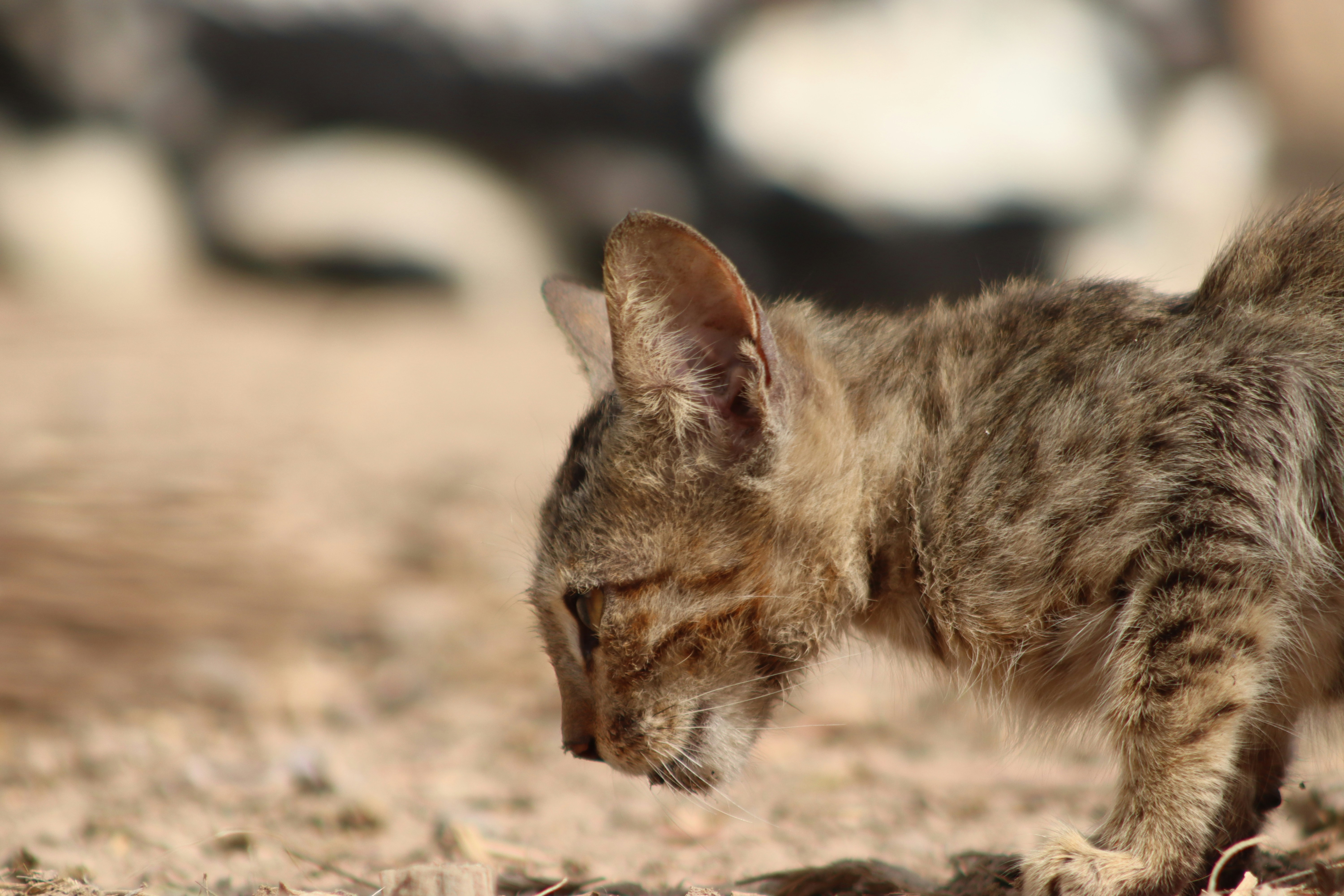 Photo by drphotographer152