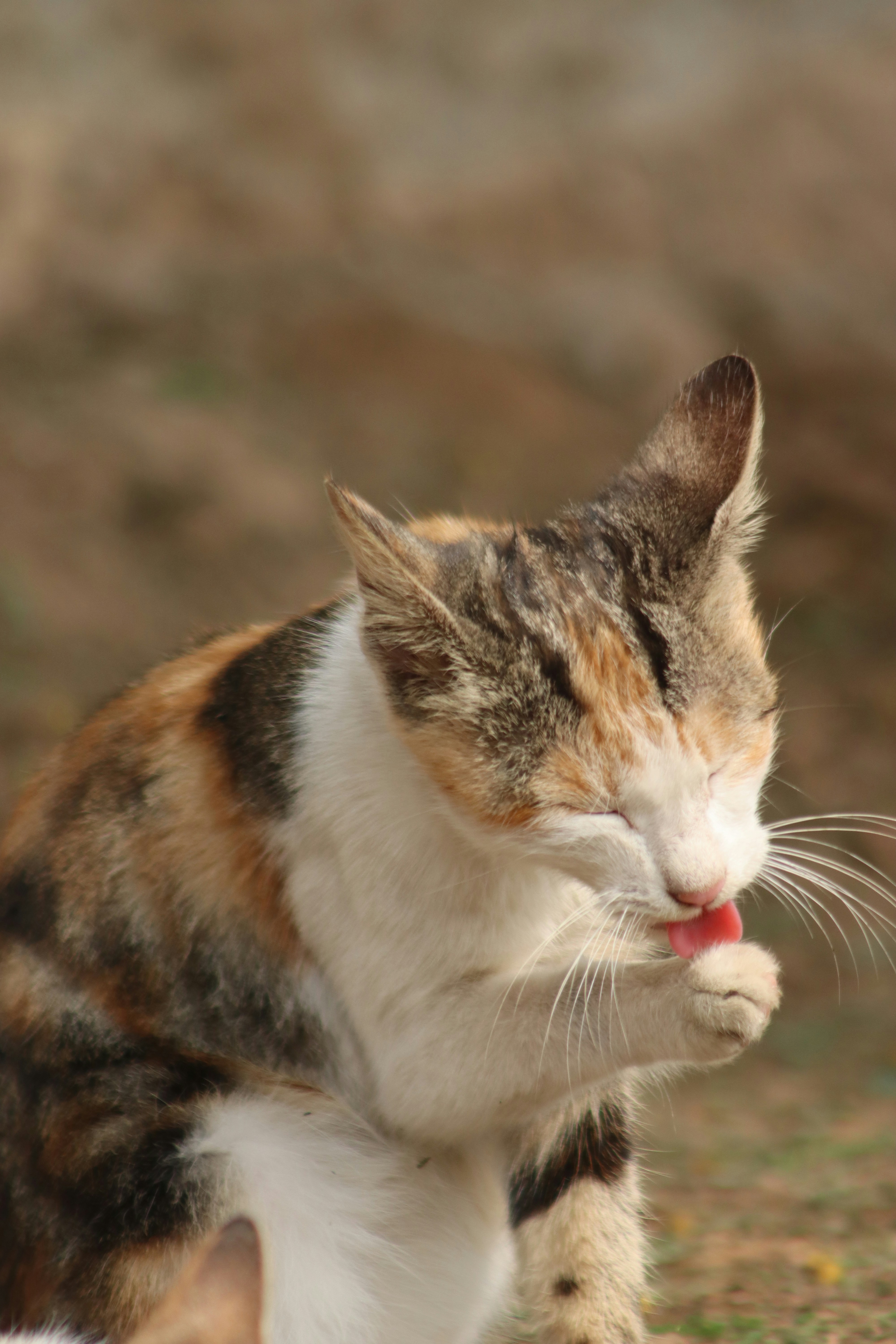 Photo by drphotographer152