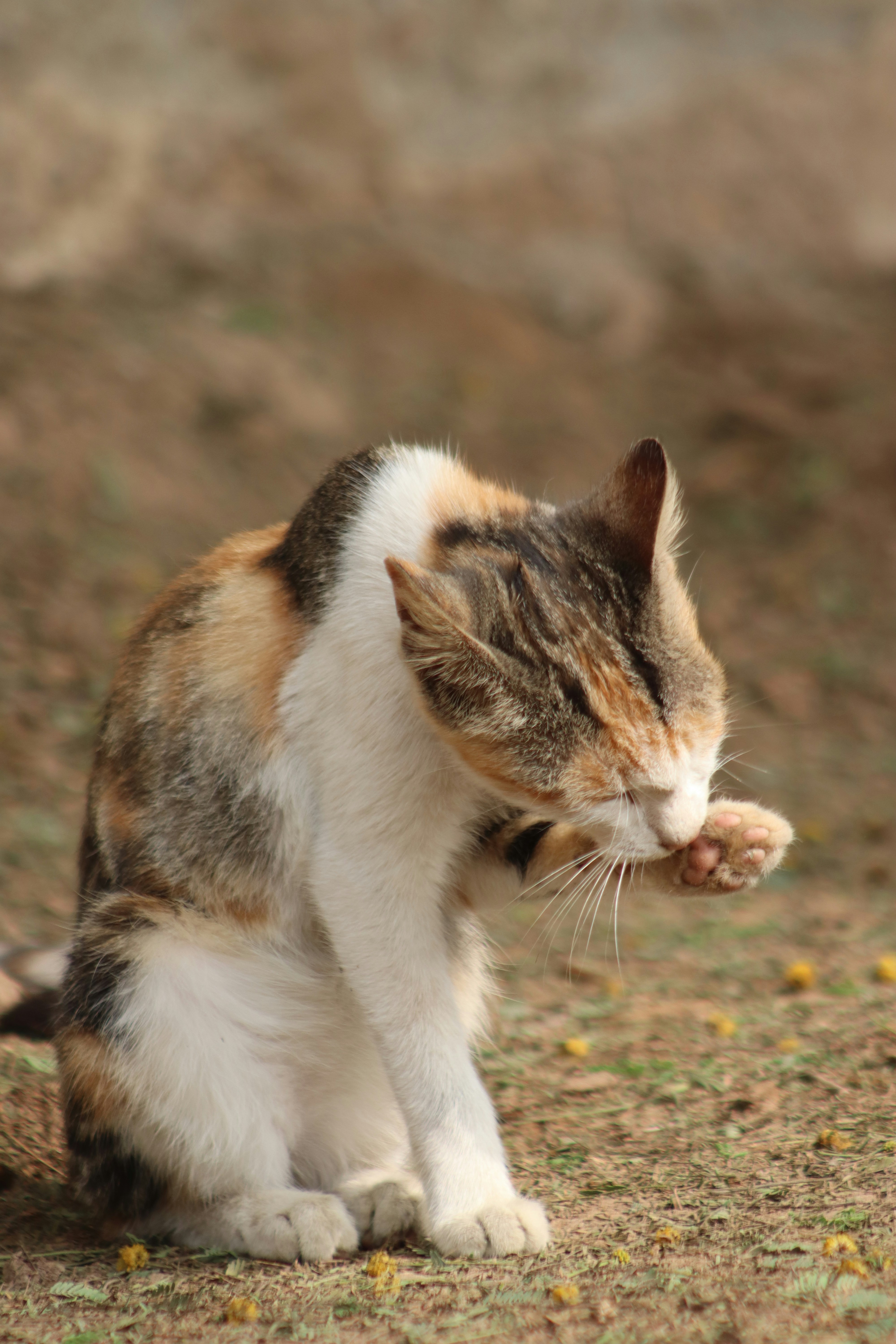 Photo by drphotographer152