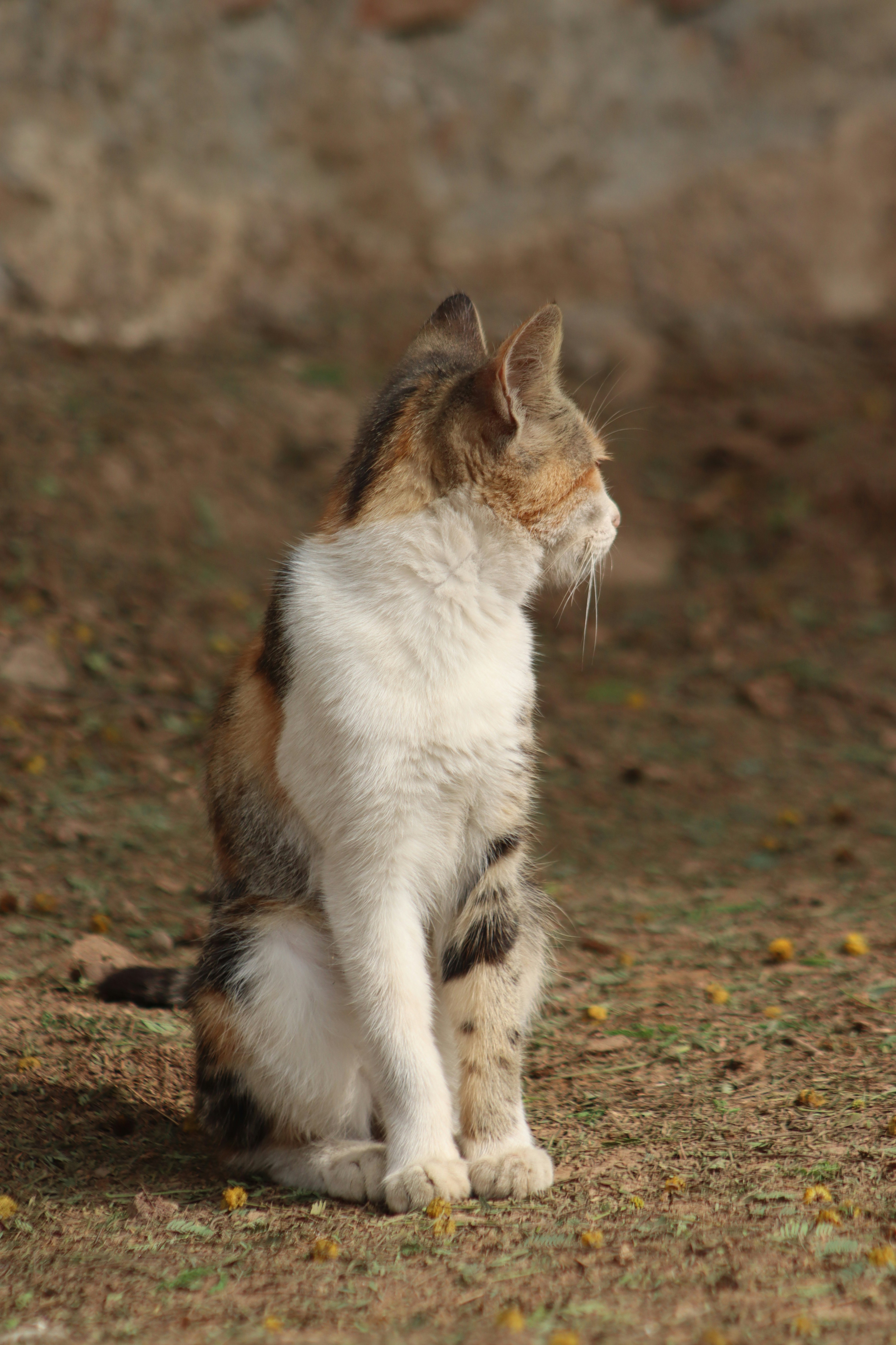 Photo by drphotographer152