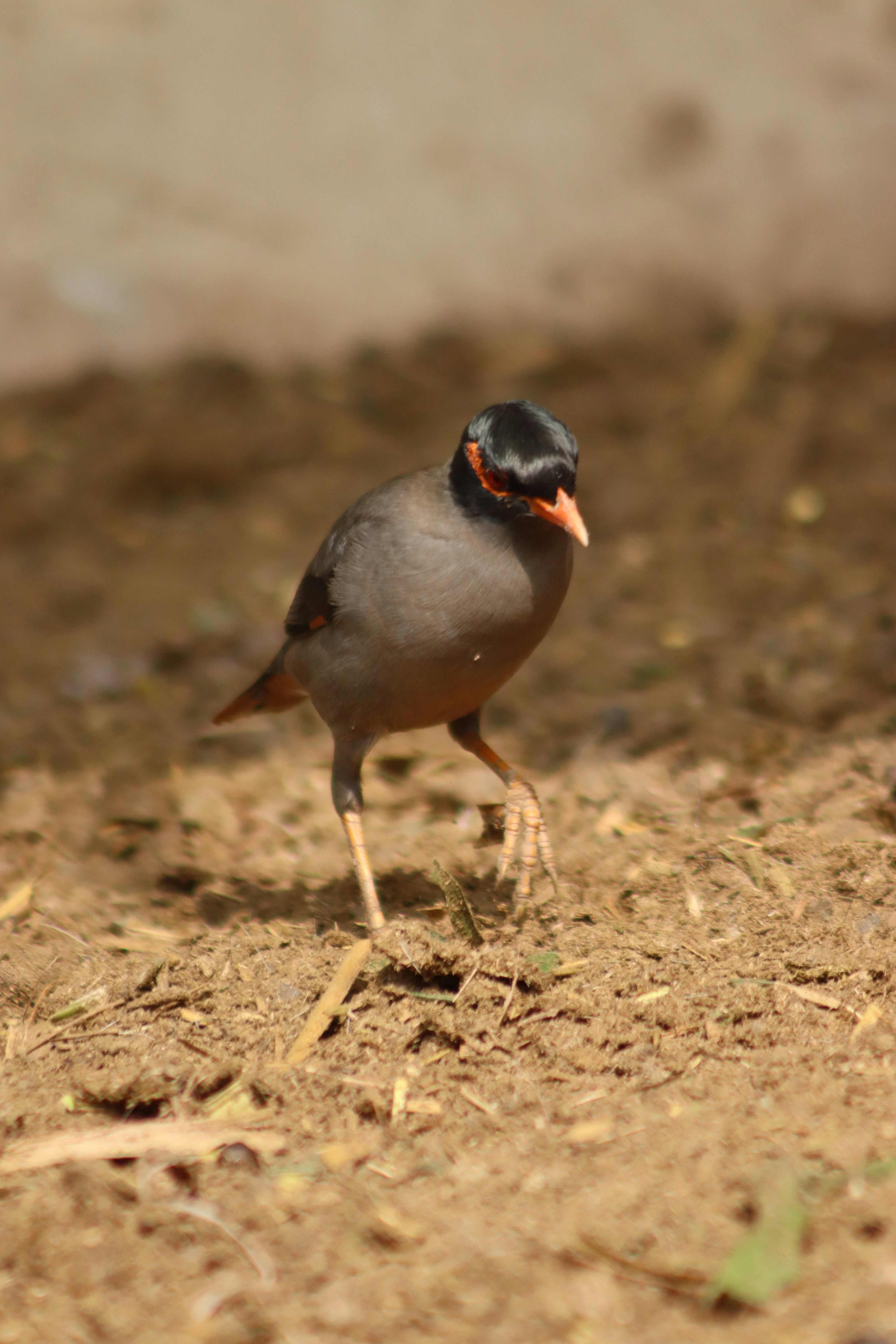 Photo by drphotographer152