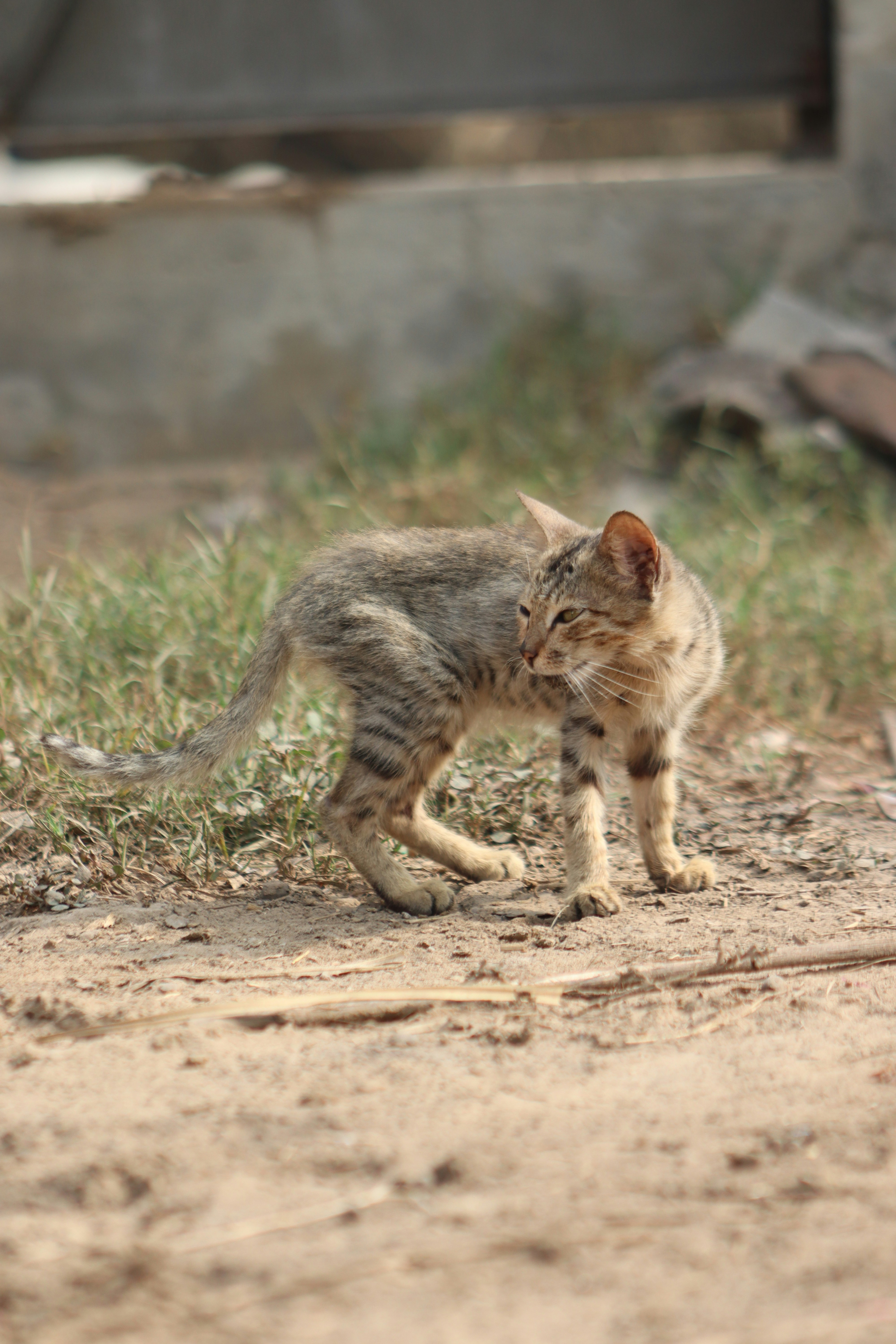 Photo by drphotographer152