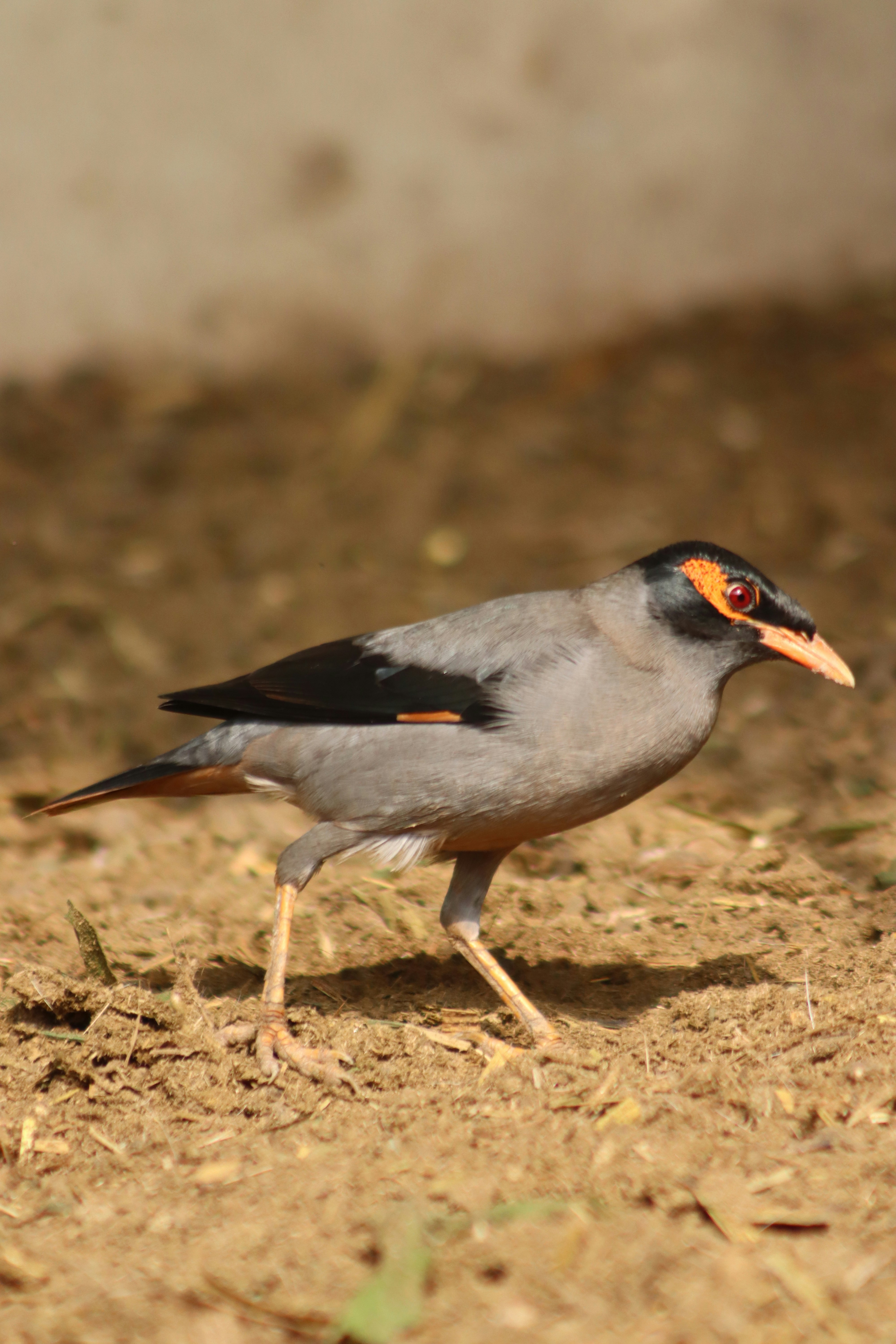 Photo by drphotographer152