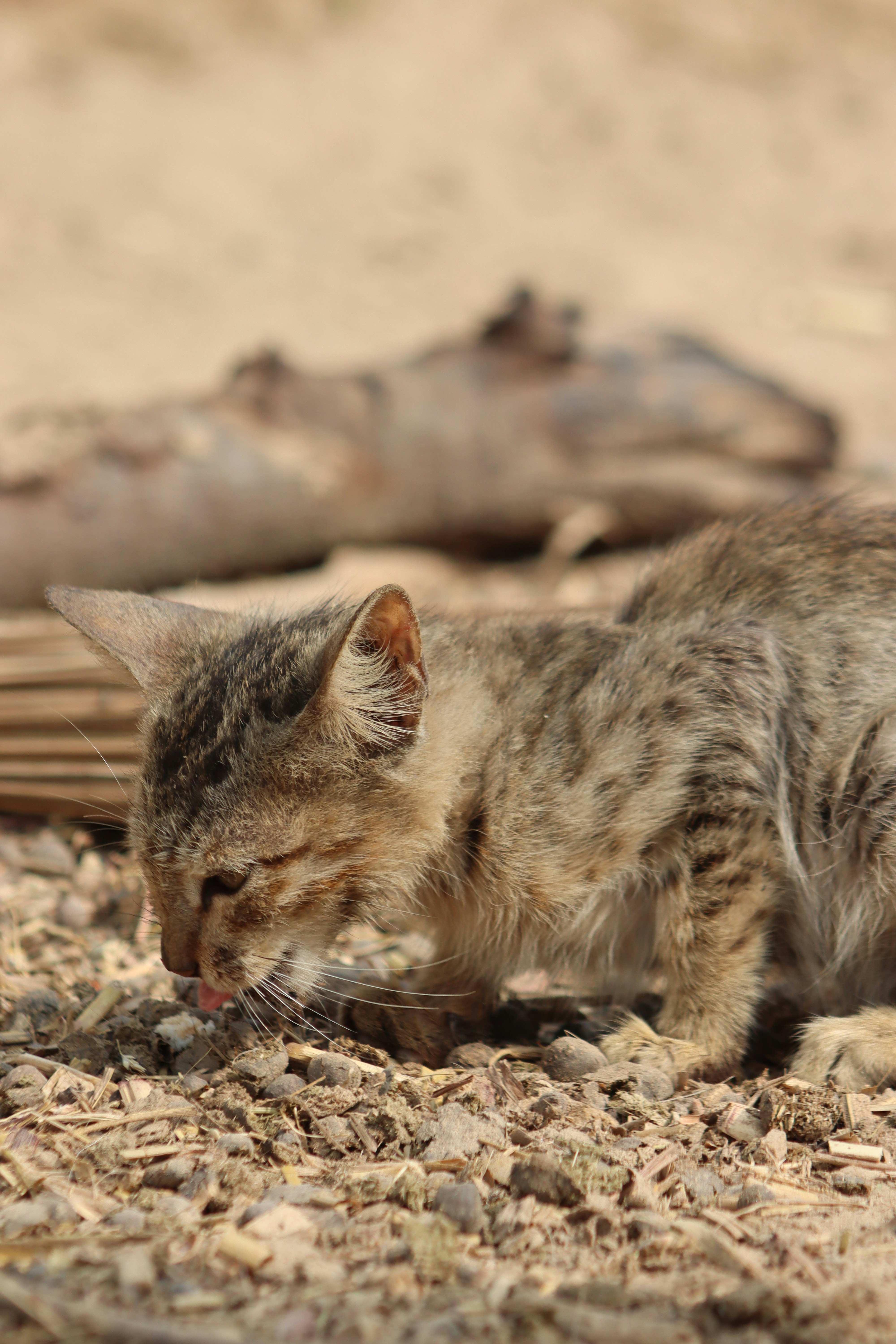 Photo by drphotographer152