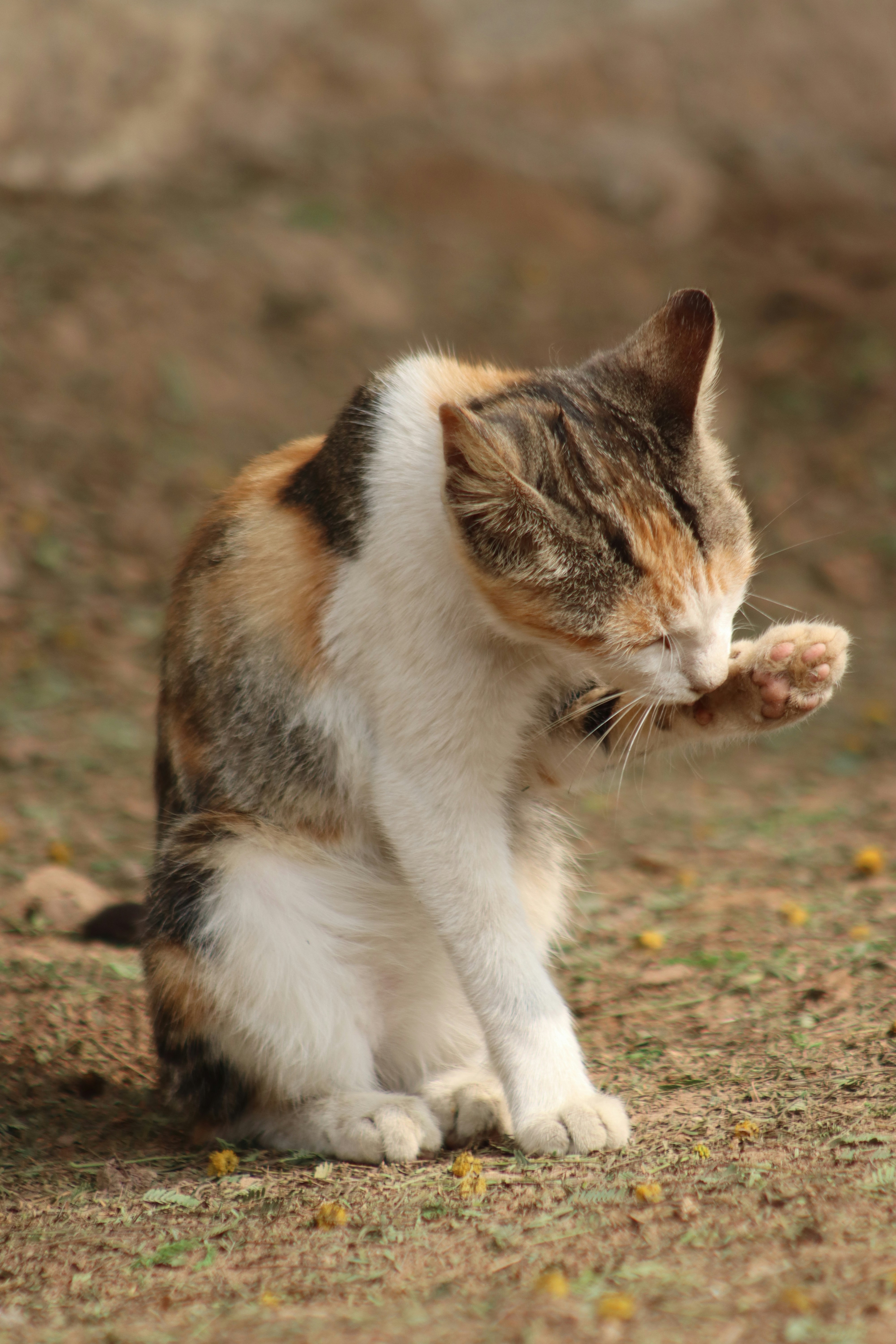 The Kneading Ritual (image credits: unsplash)