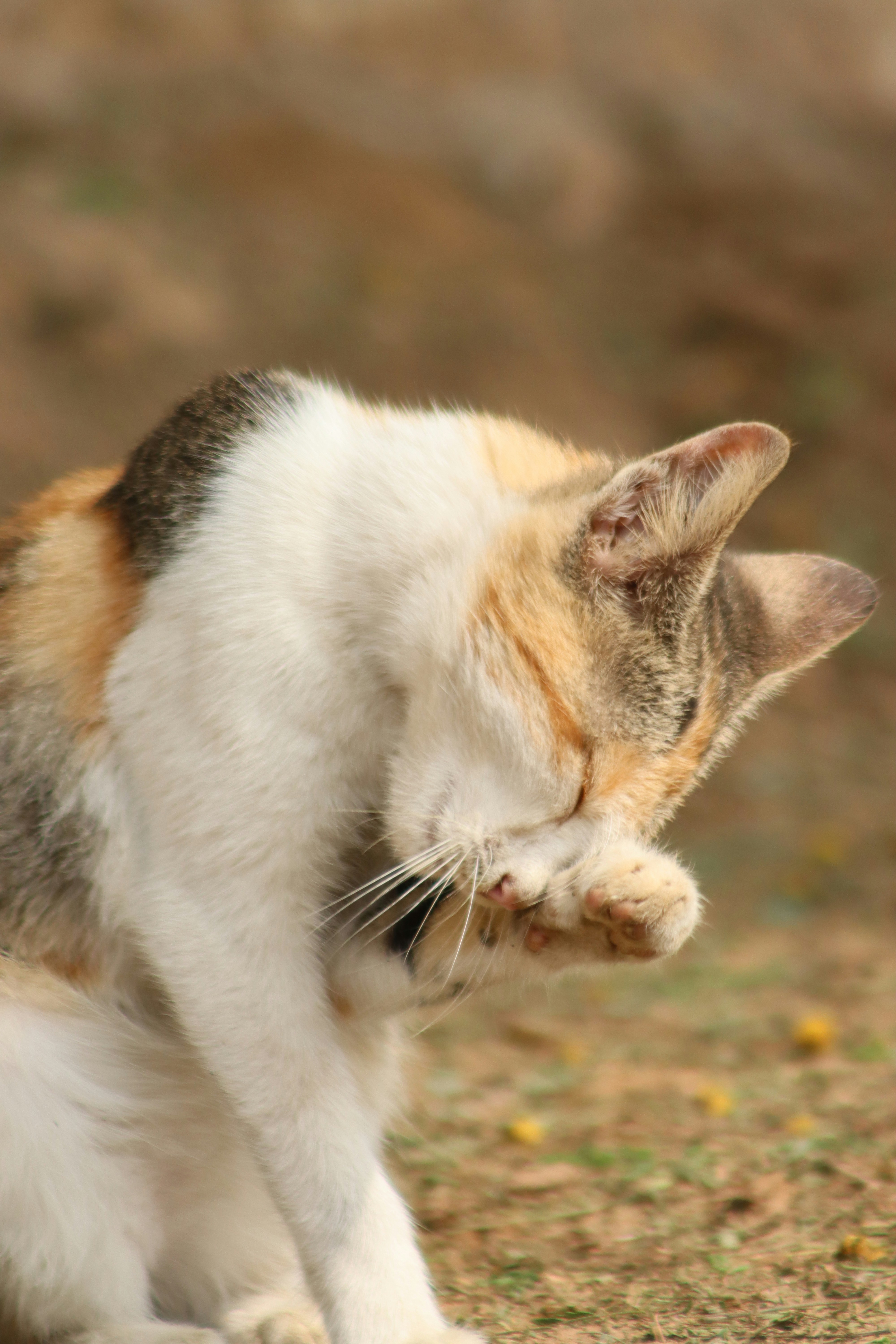 Photo by drphotographer152