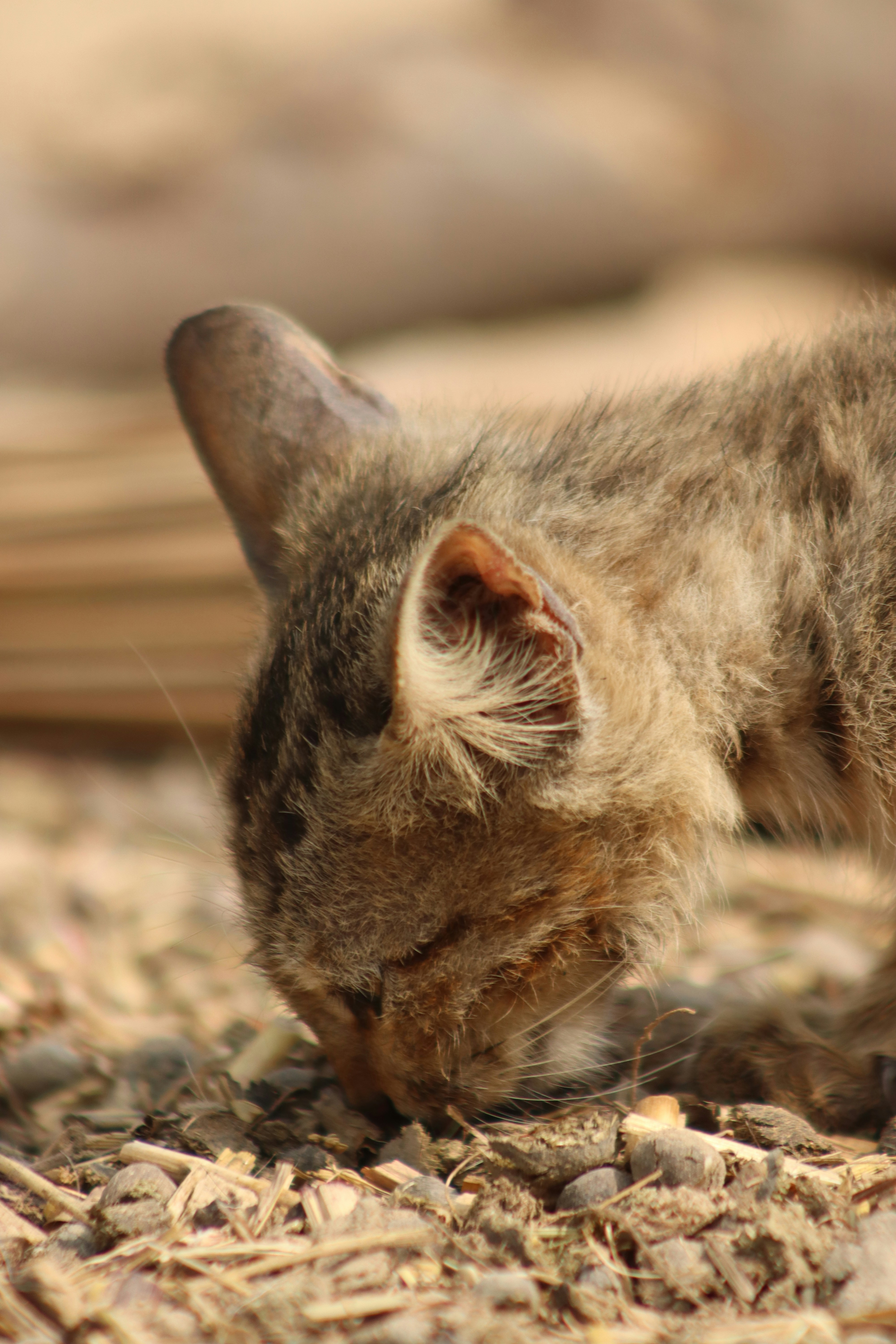 Photo by drphotographer152