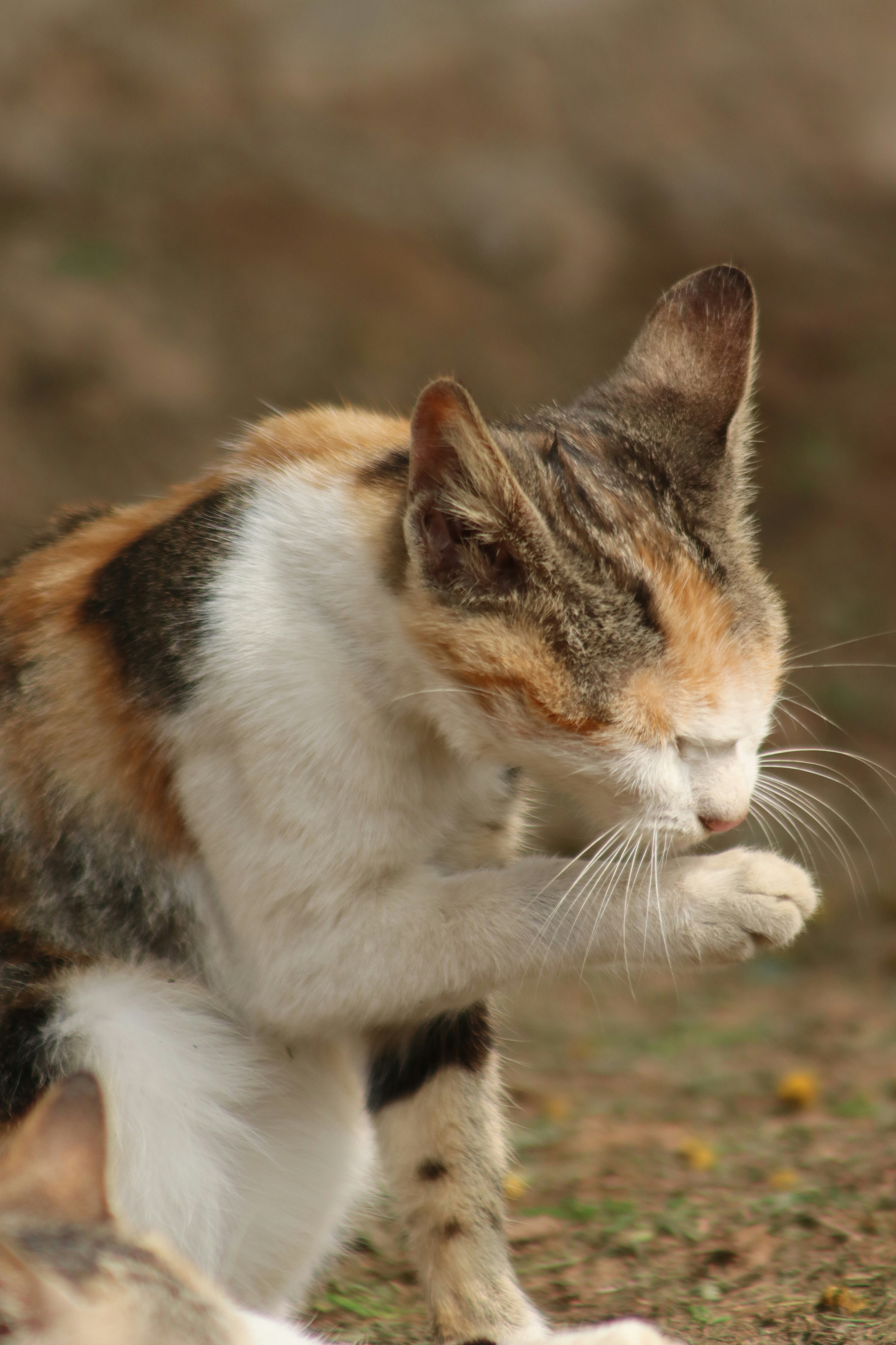 Photo by drphotographer152