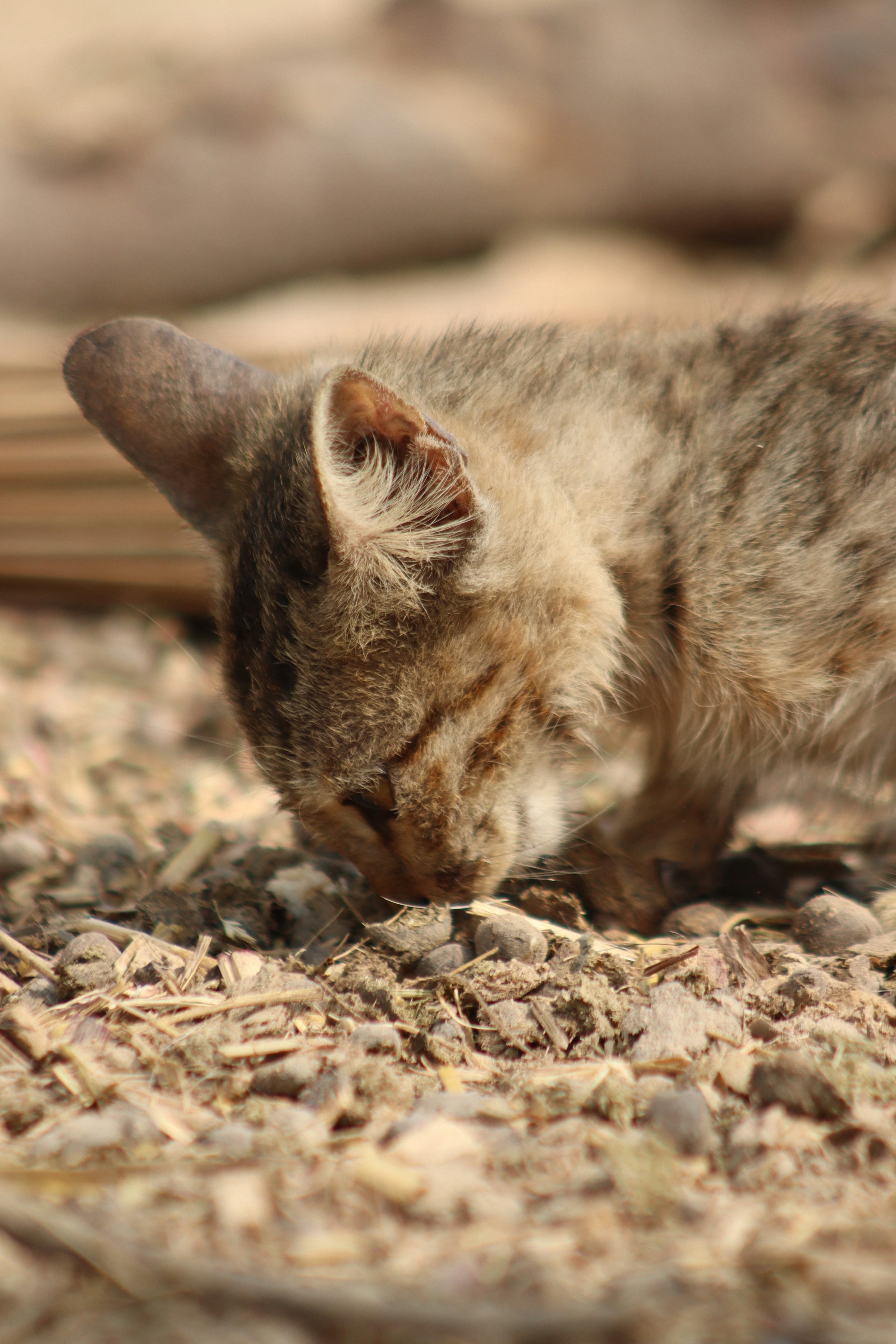 Photo by drphotographer152