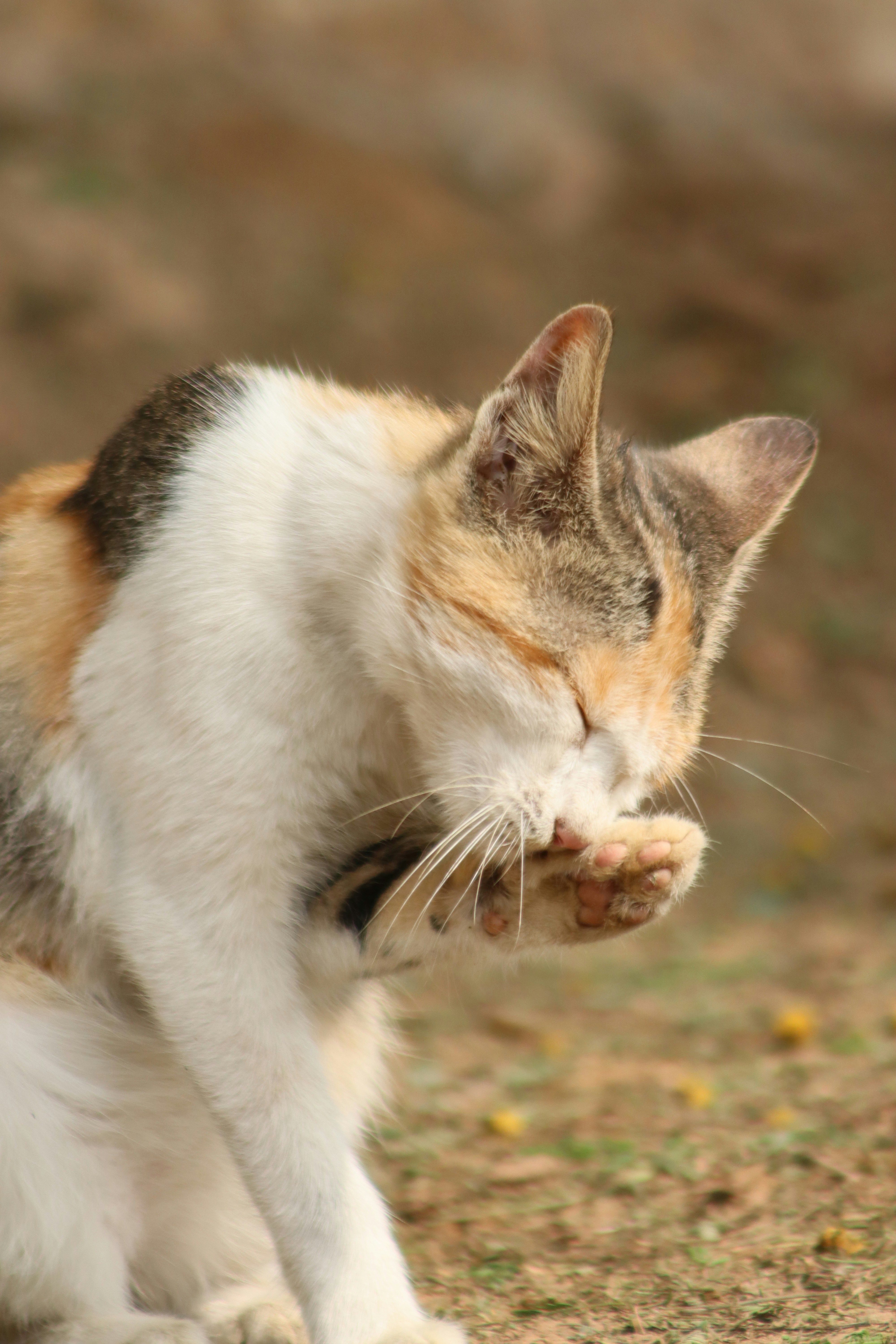 Photo by drphotographer152