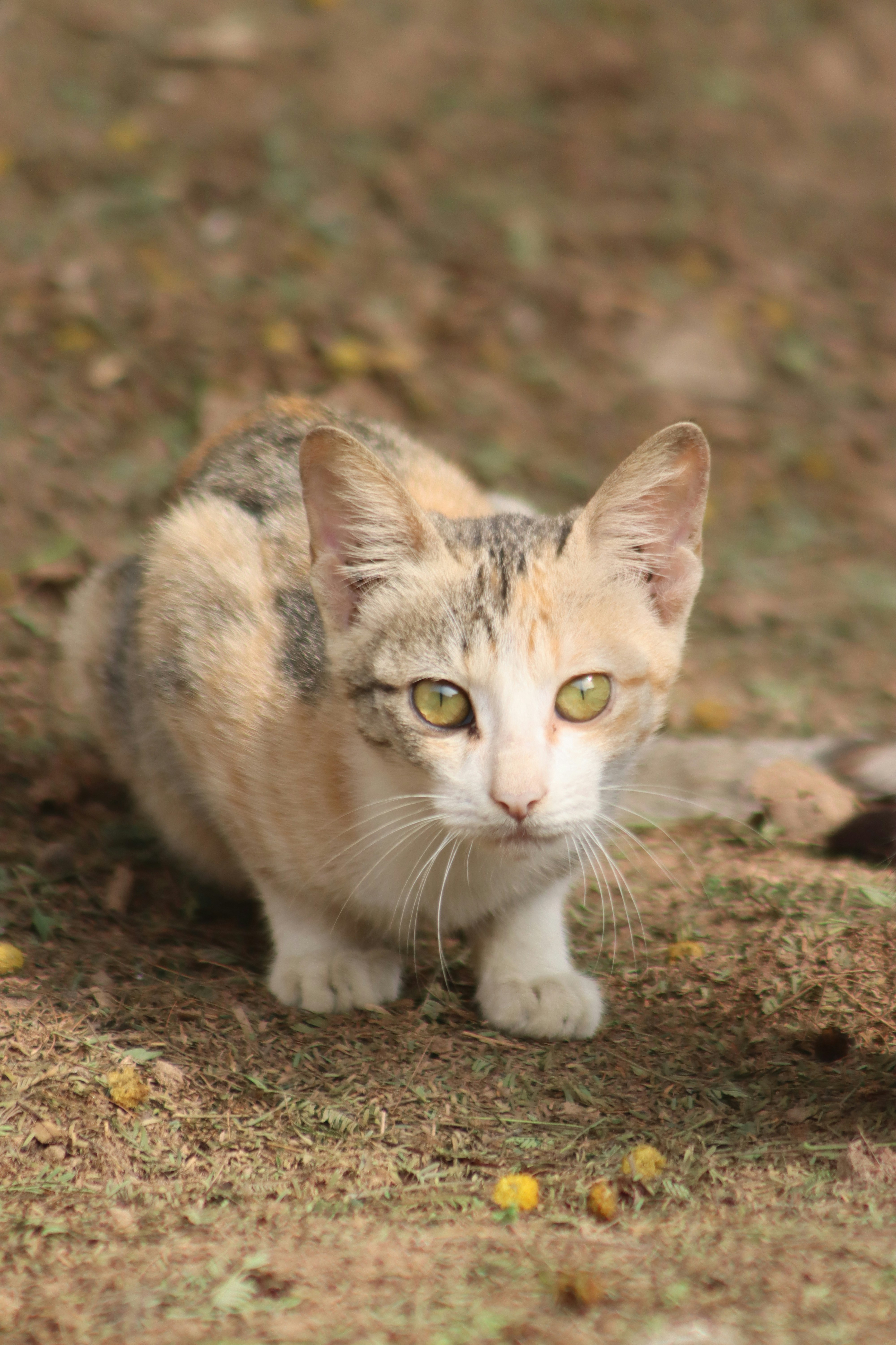 Photo by drphotographer152