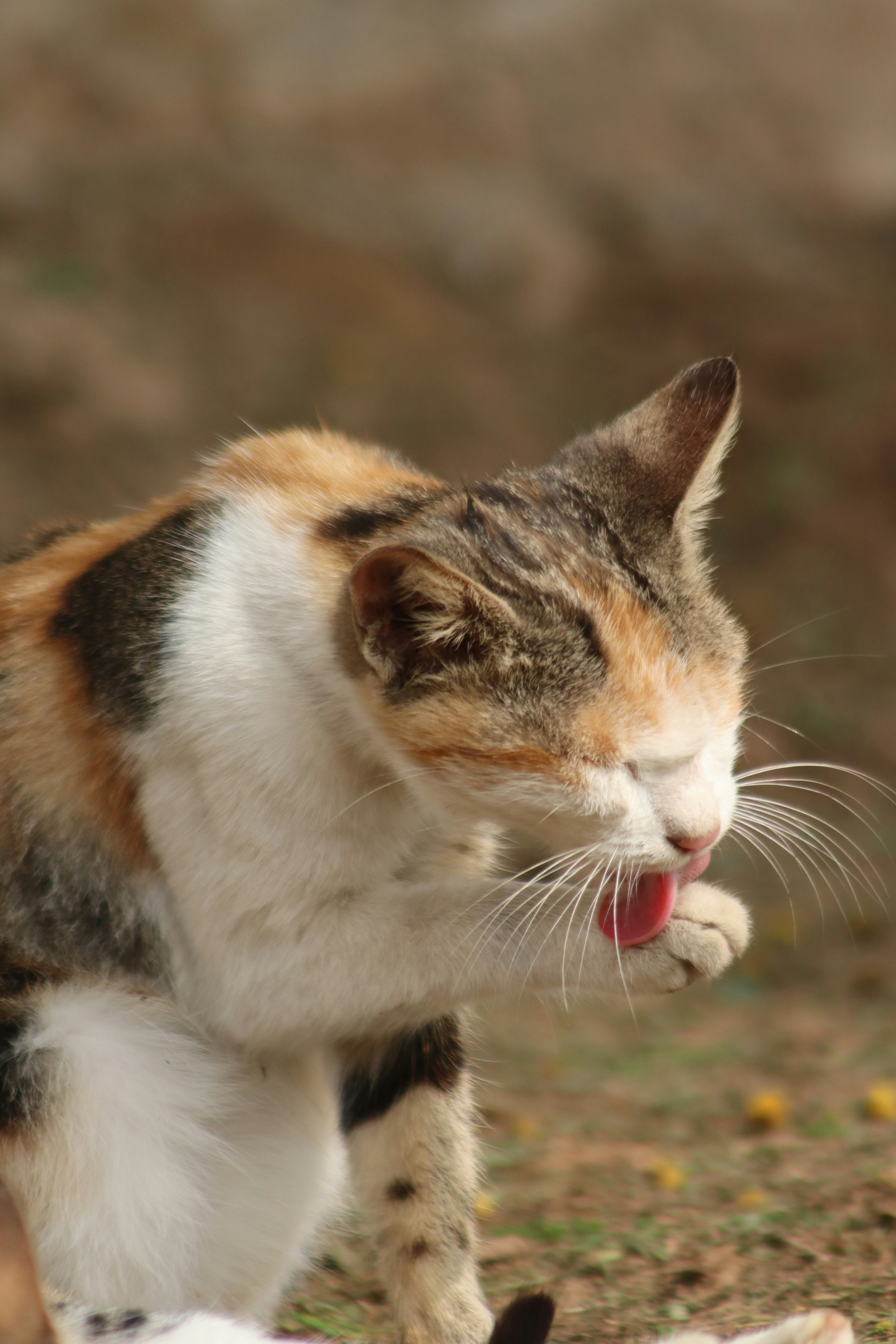 Photo by drphotographer152