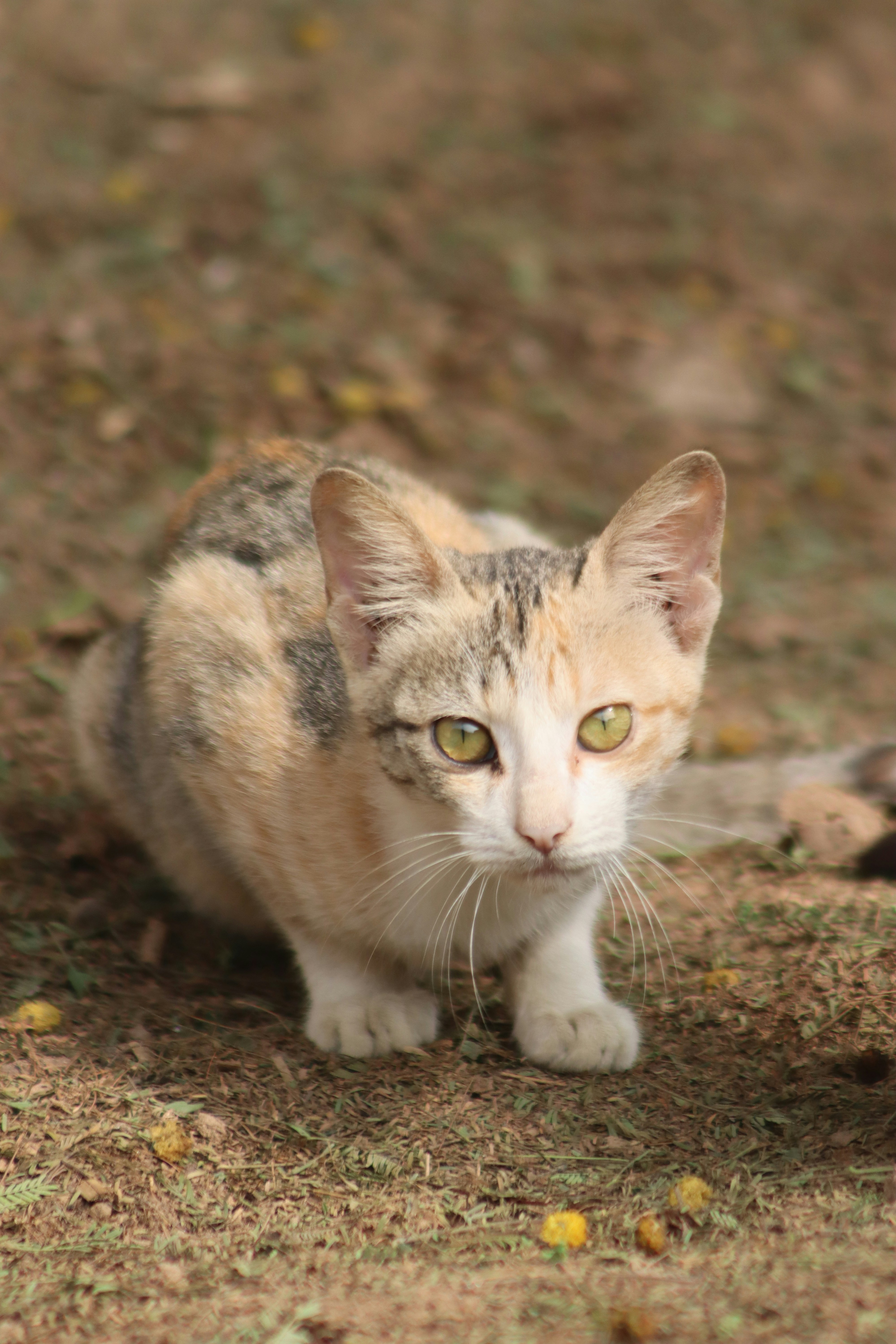 Photo by drphotographer152